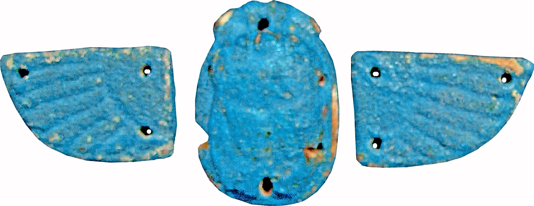 Winged Naturalistic Scarab