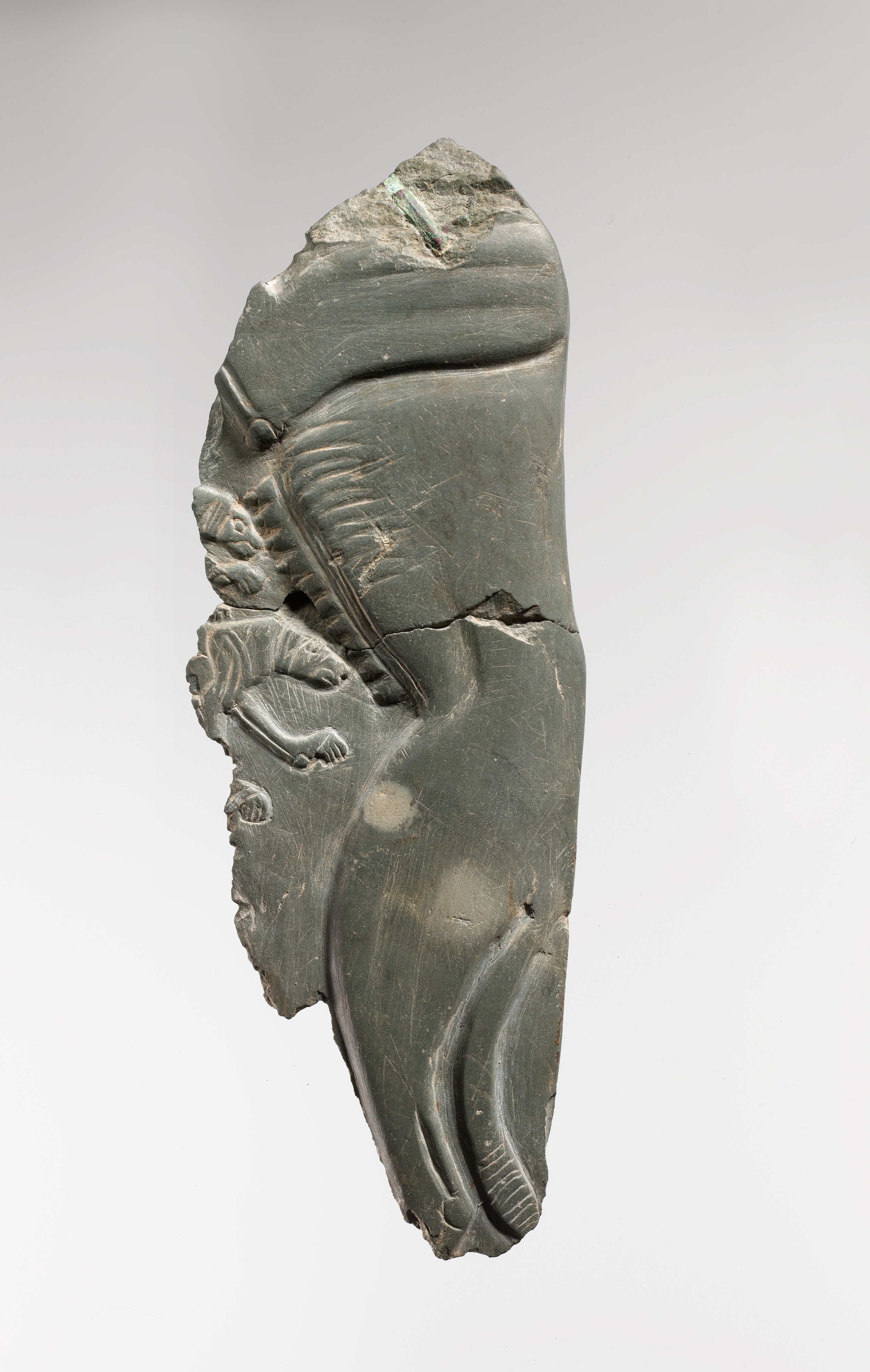 Palette Fragment Illustrating a Wild Dog