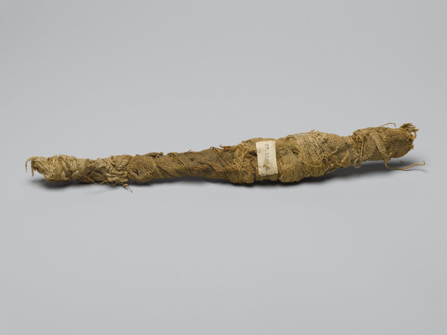 Crocodile Mummy