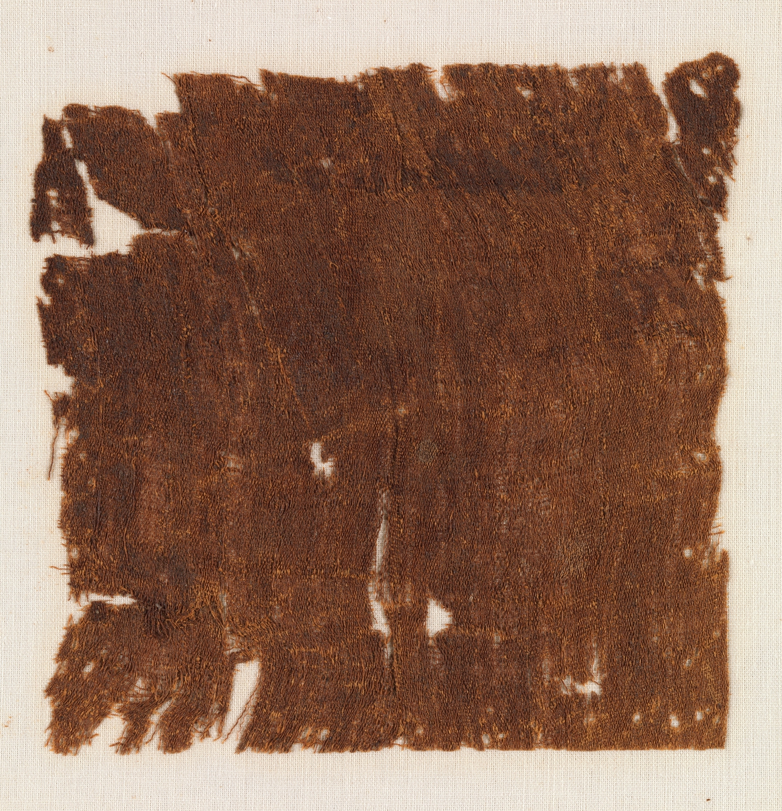 Sample of Cloth