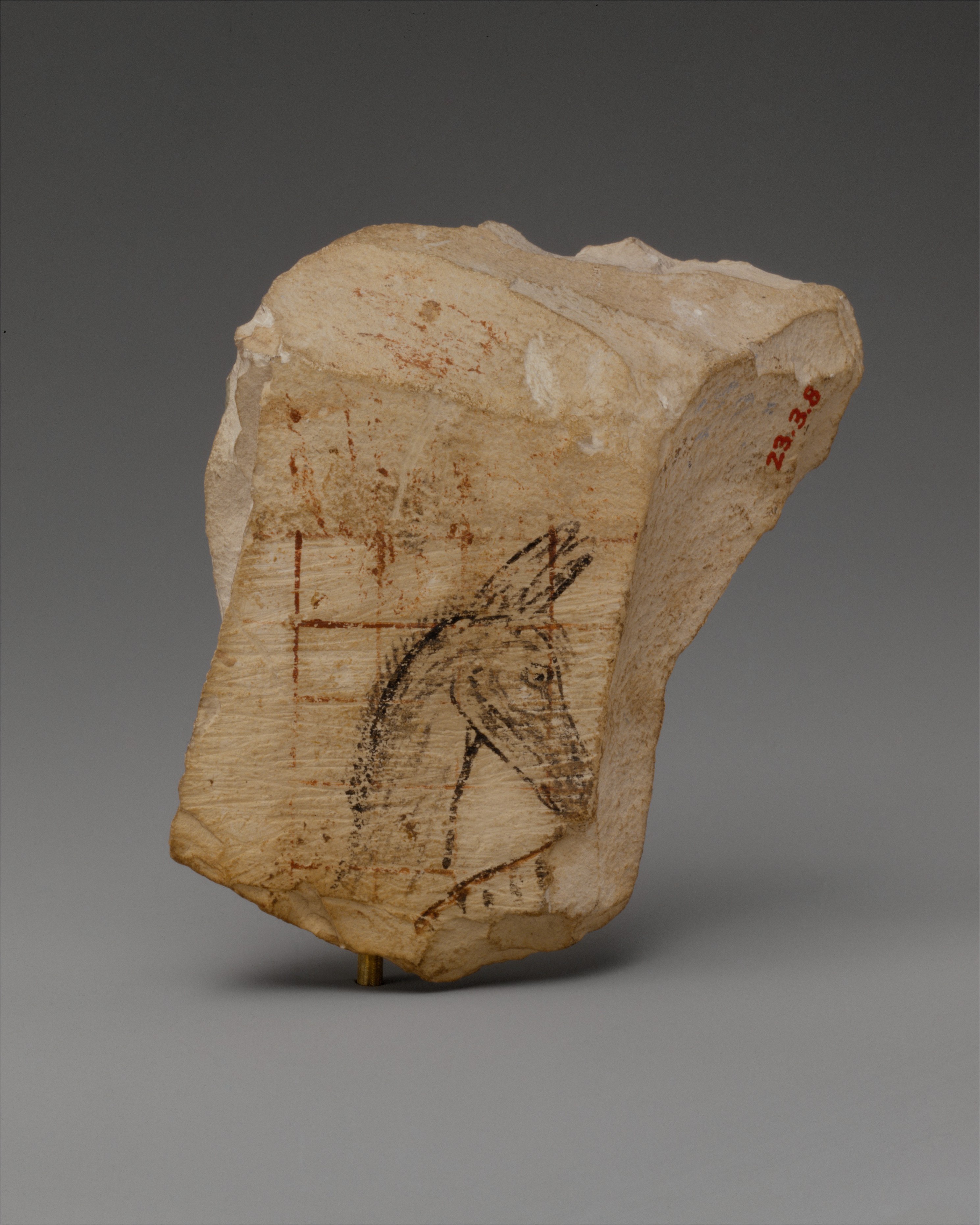 Ostracon with a donkey