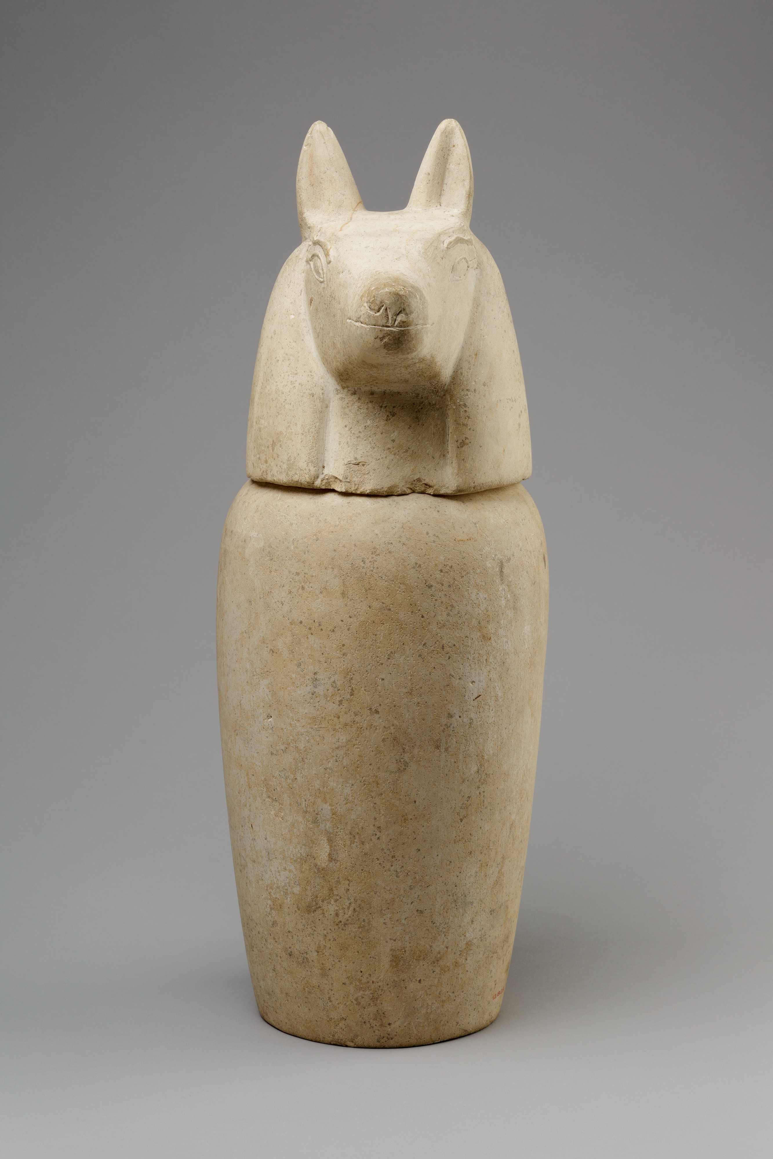Canopic jar with head of jackal (Duamutef)