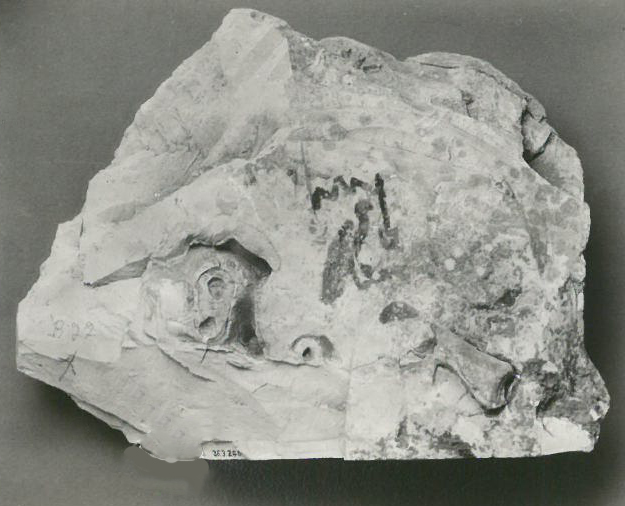 Name Stone of Senenmut