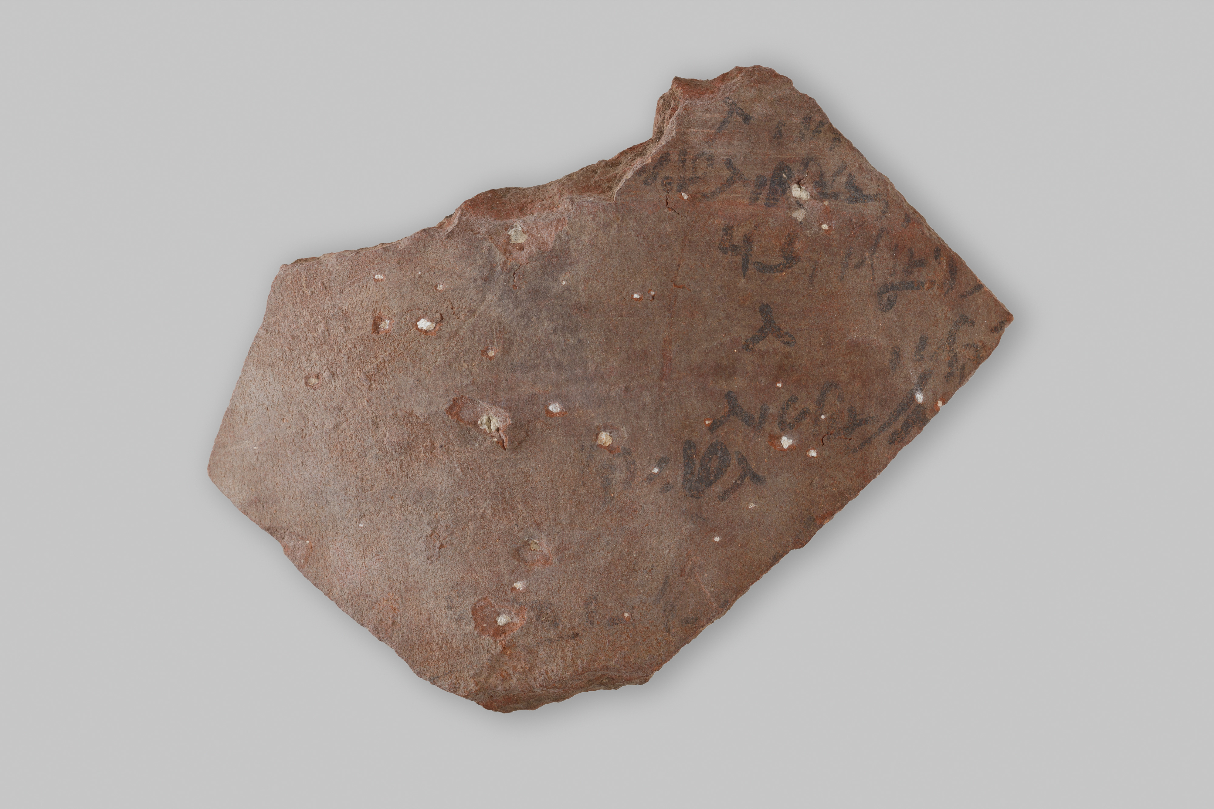 Ostracon