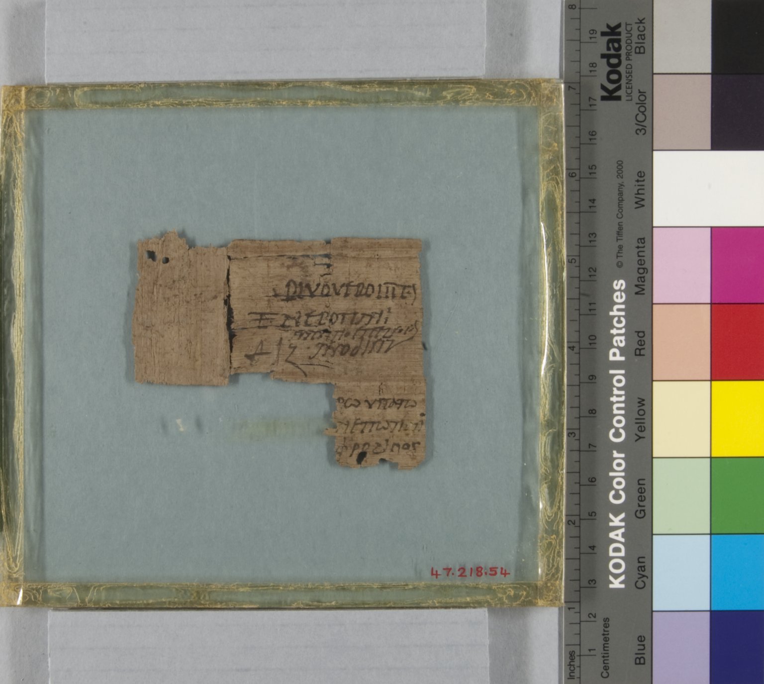 Papyrus Inscribed in Greek and Latin