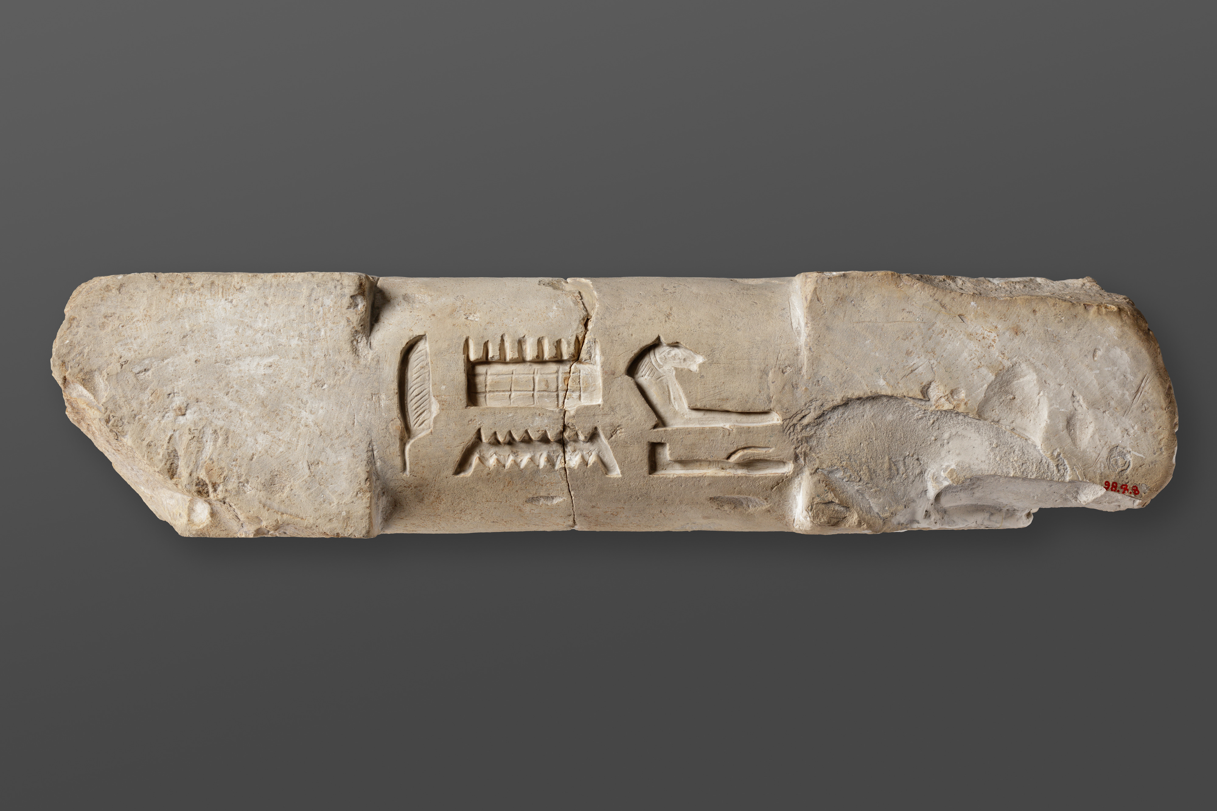 Fragment of a Door Drum