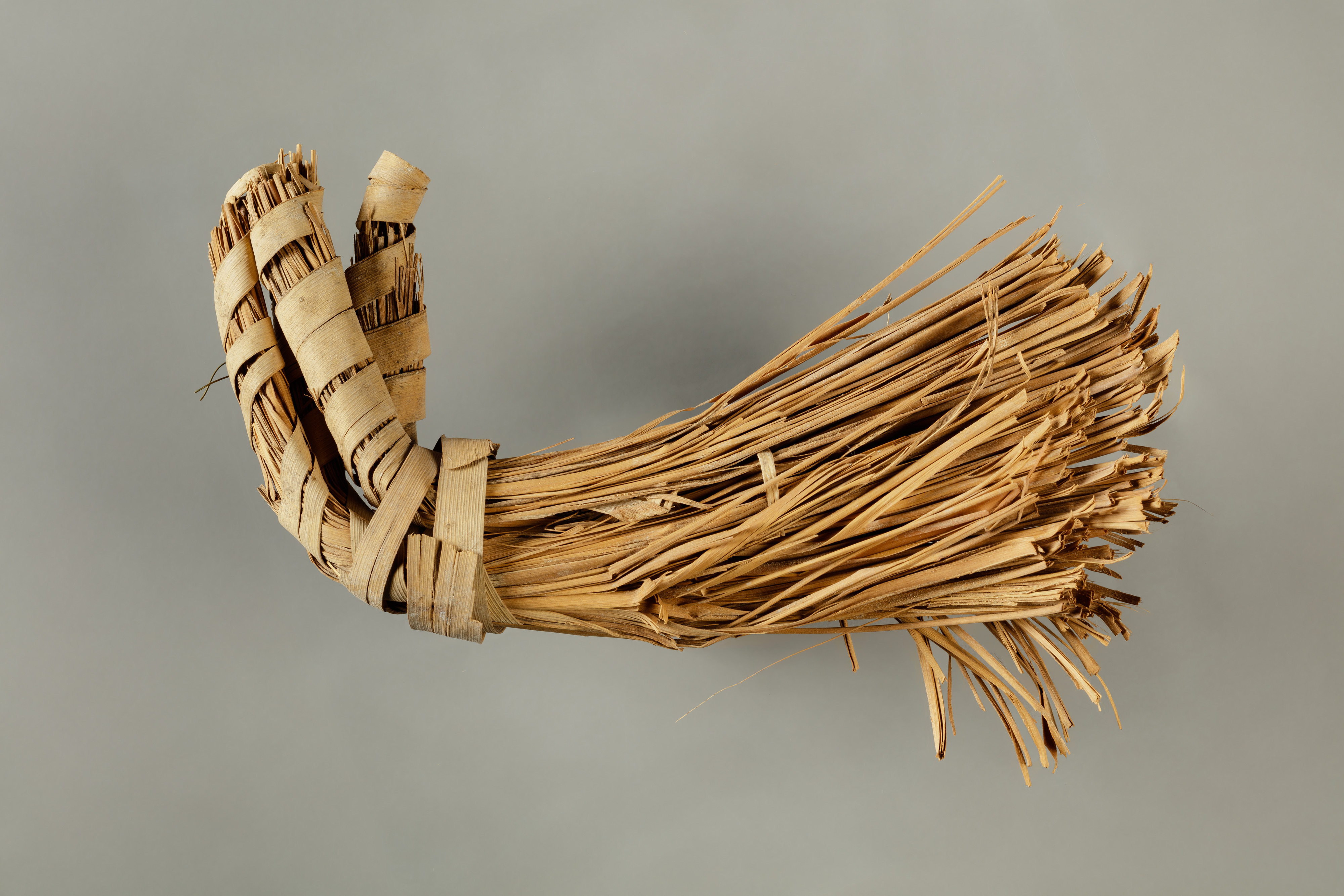 Brush
