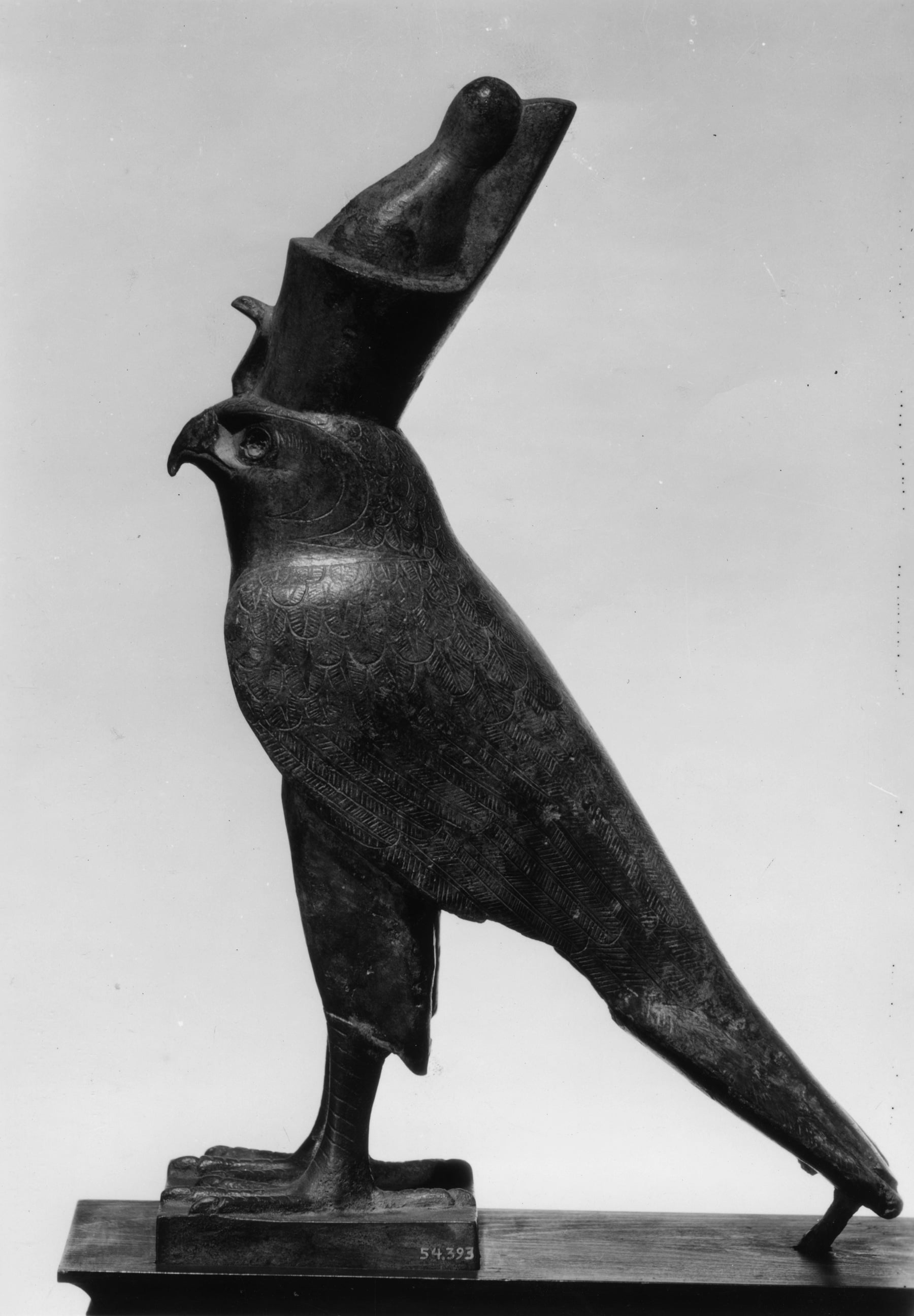 Horus Falcon