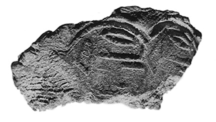 Sealing fragment