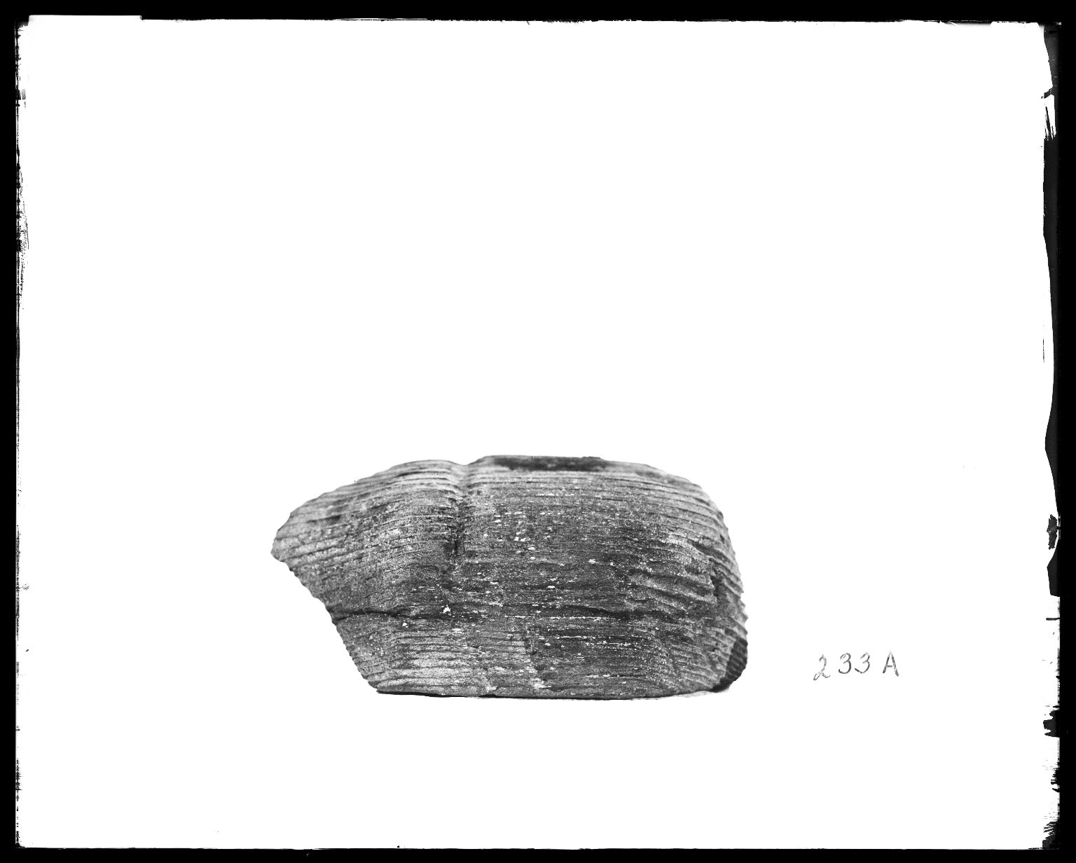 Scarab Coffin