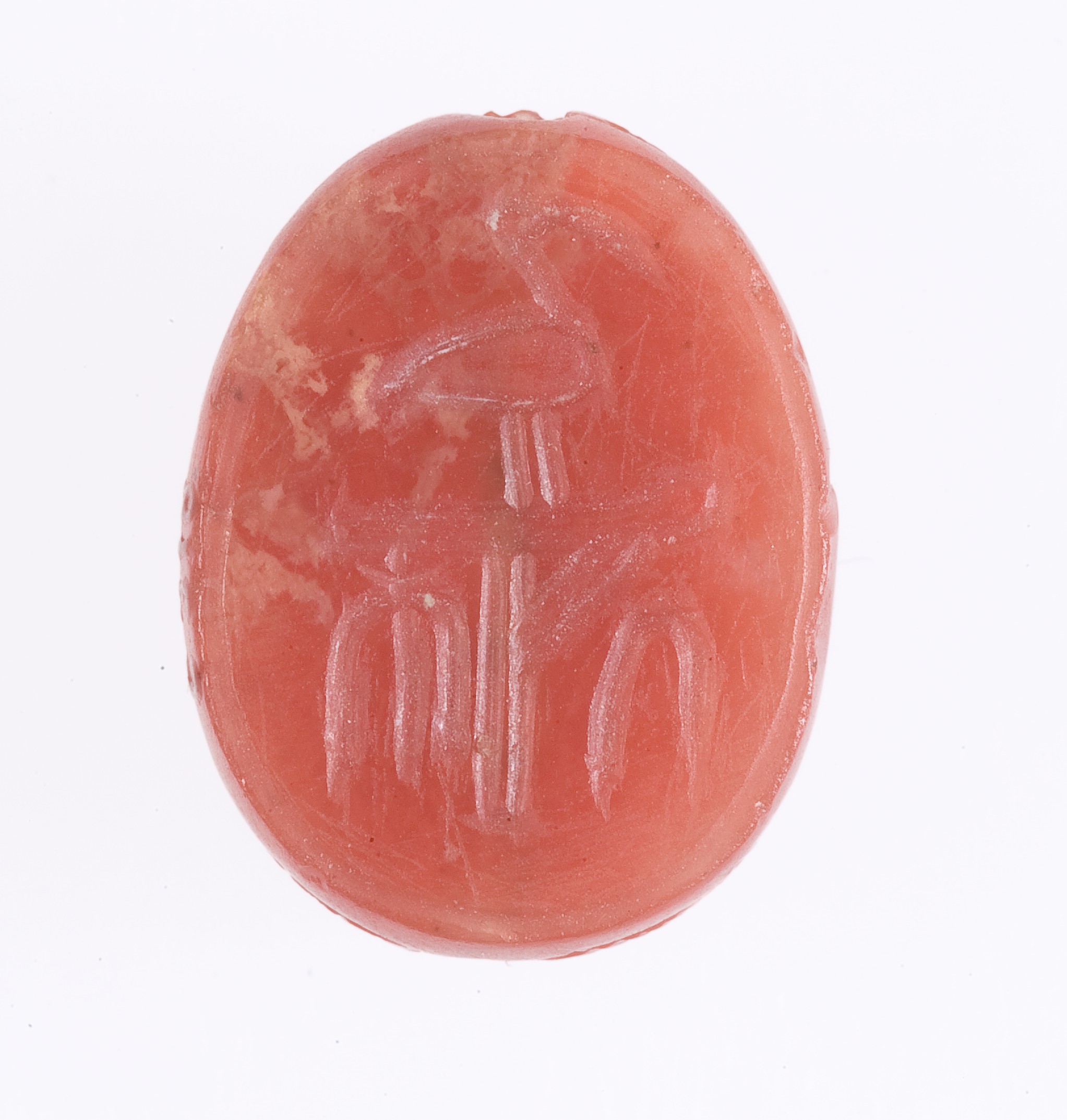 Scarab