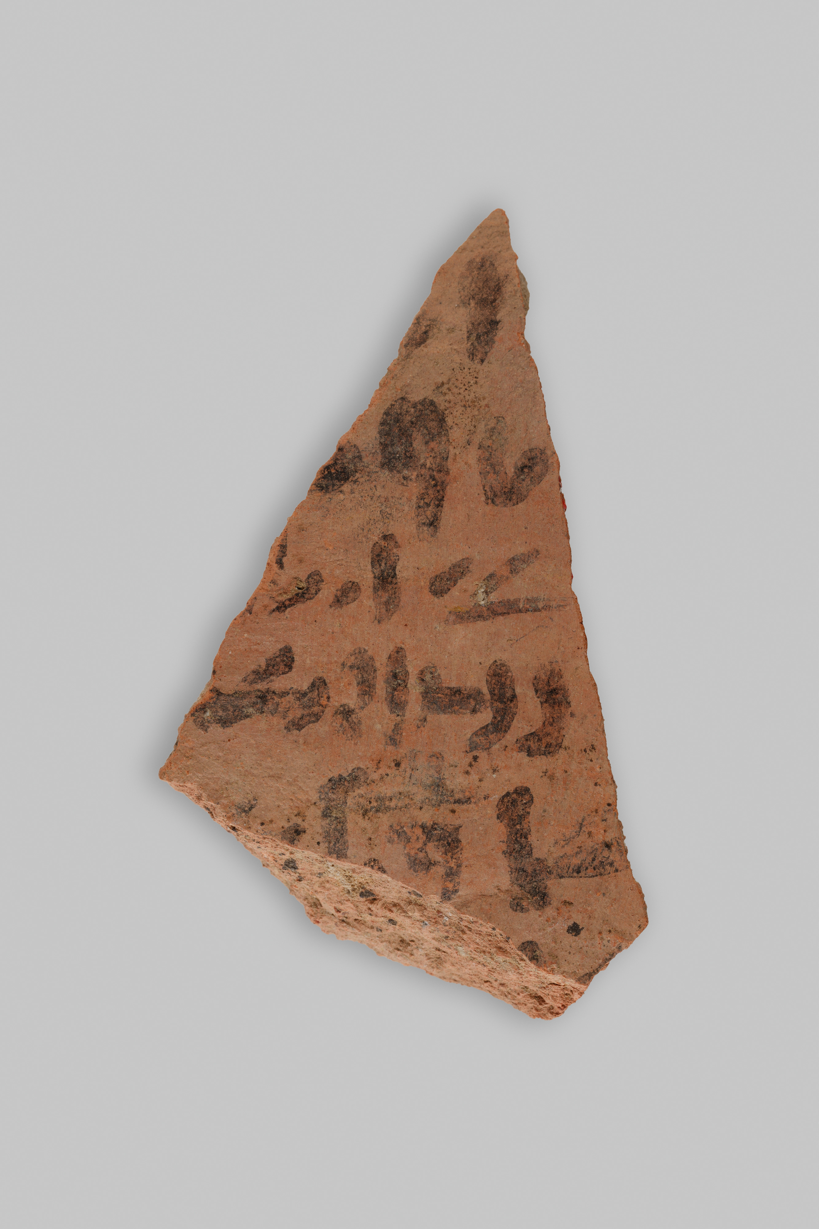 Ostracon