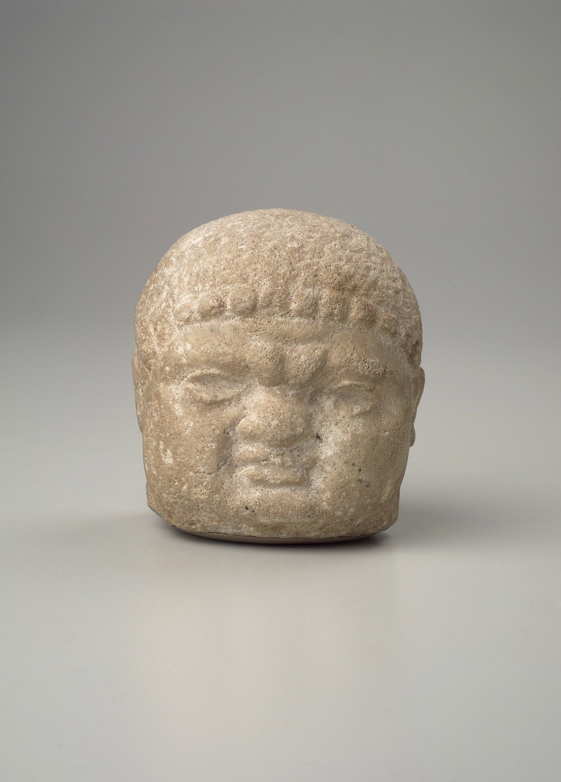 Male Portrait Head