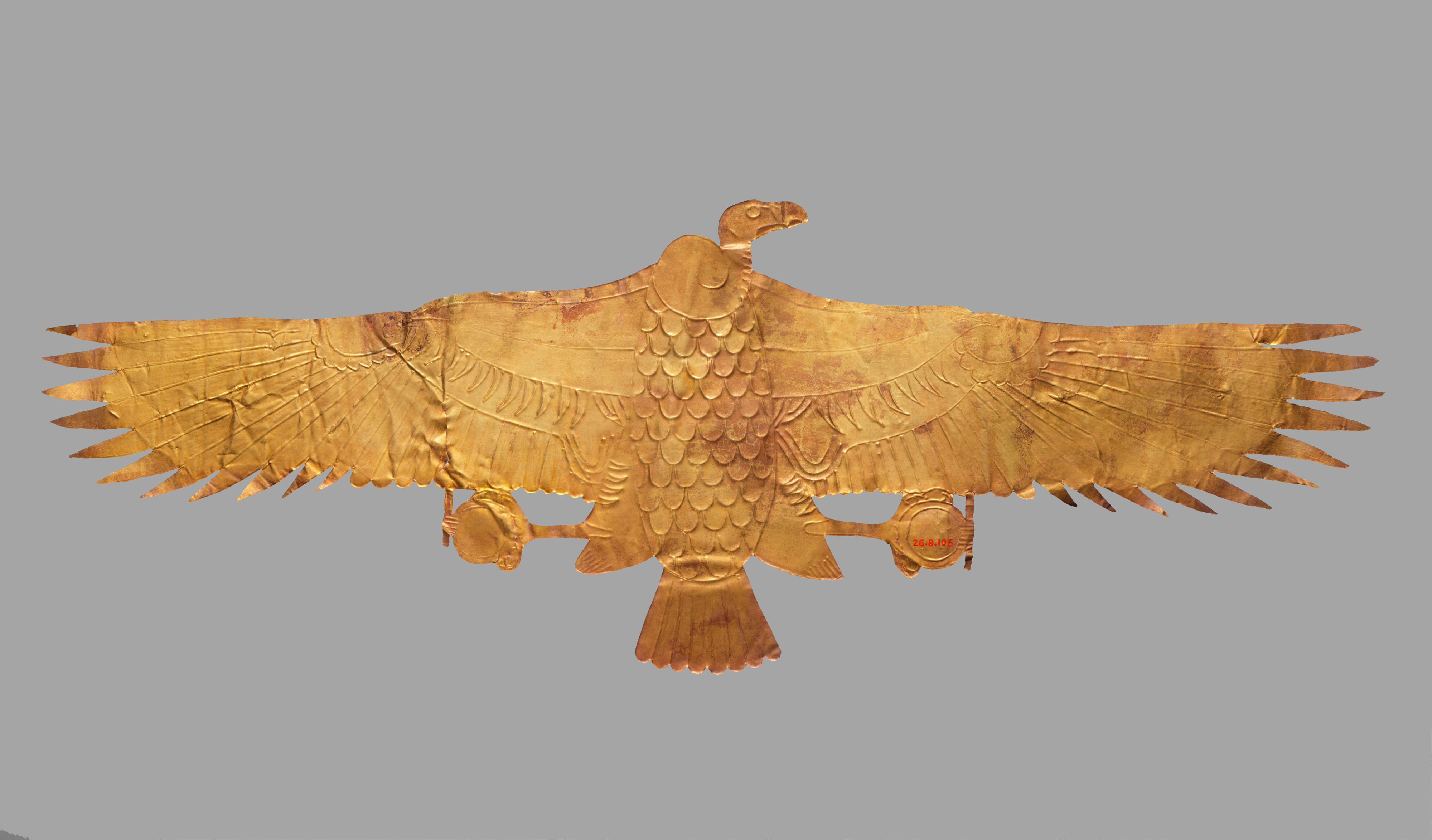 Vulture Pectoral