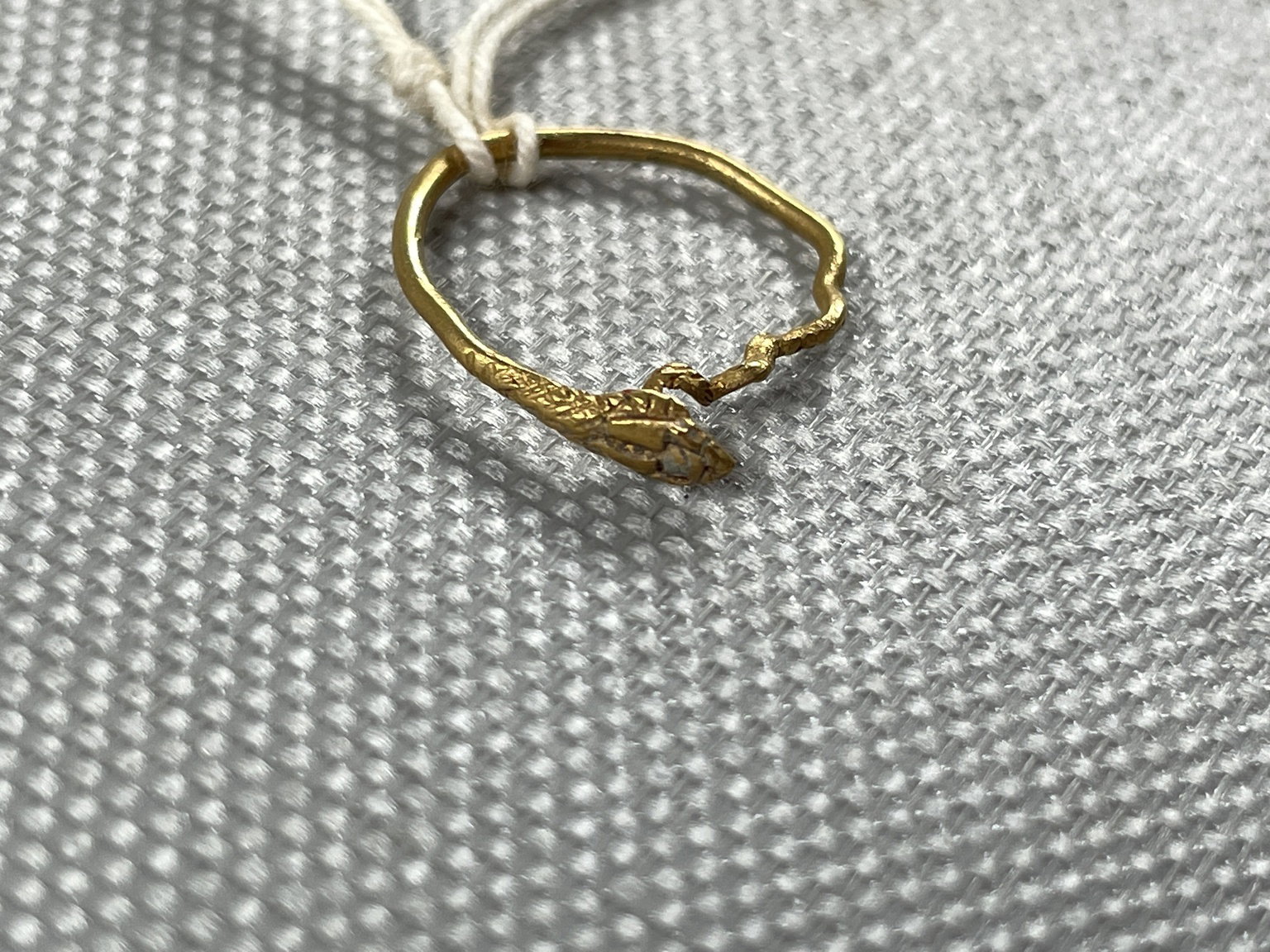 Slender Ring in the Form of a Snake