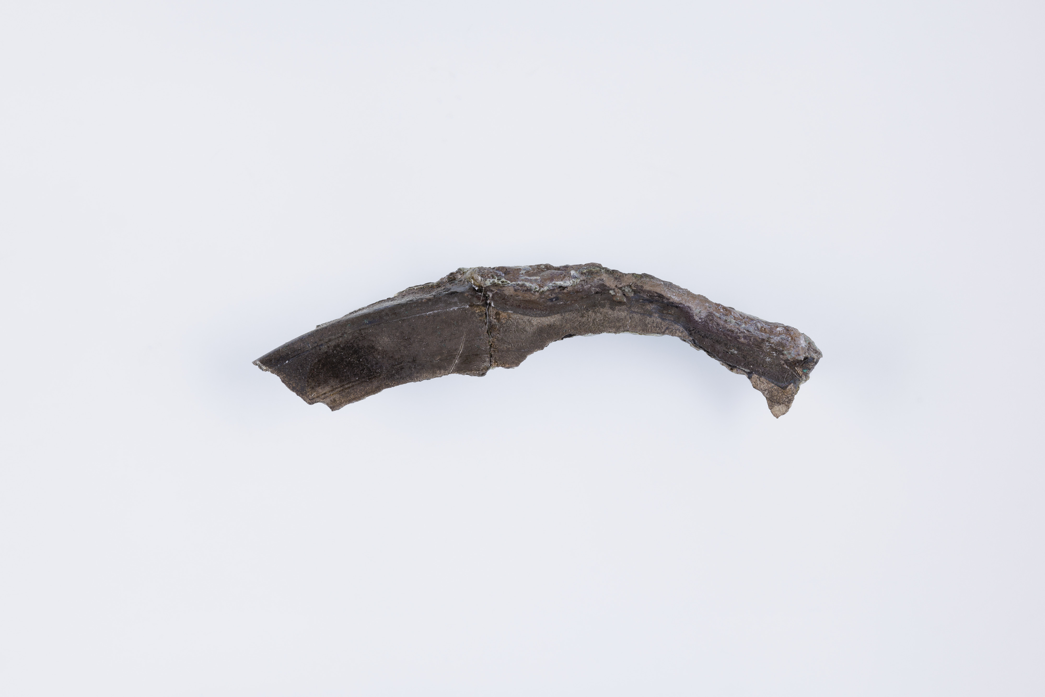 Rim fragment