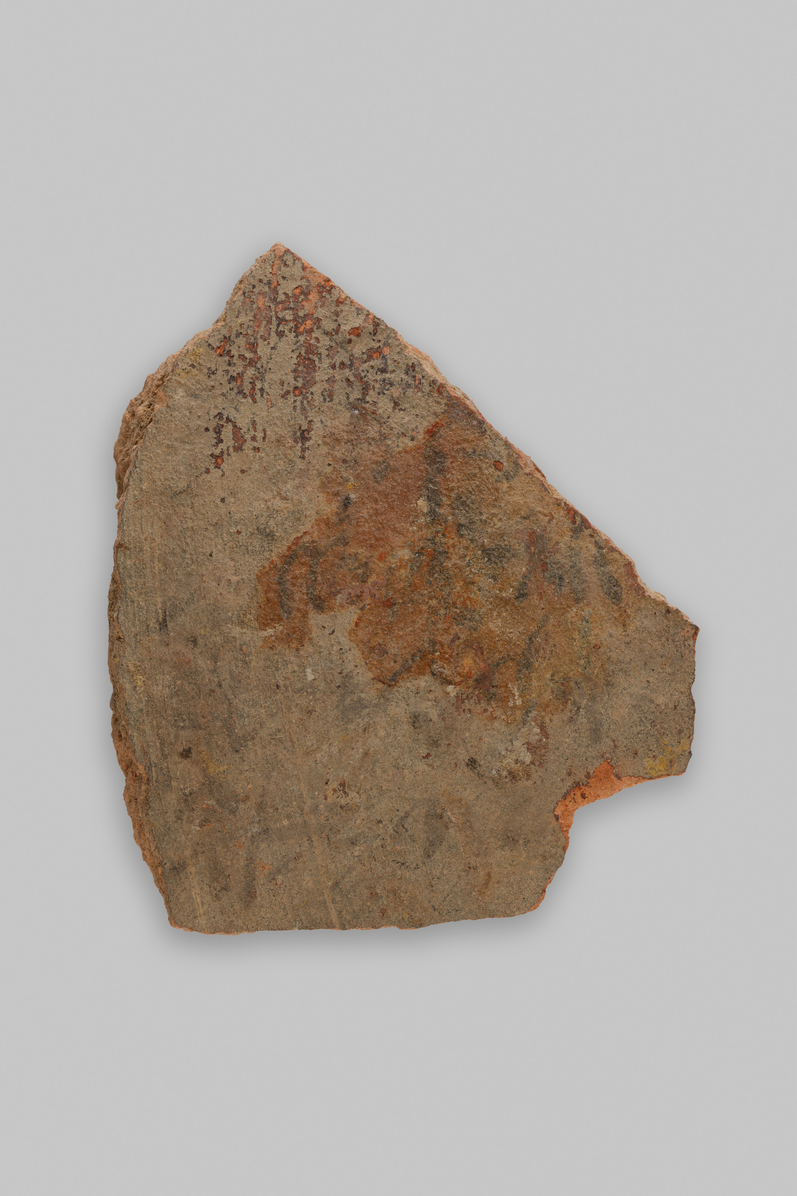 Ostracon