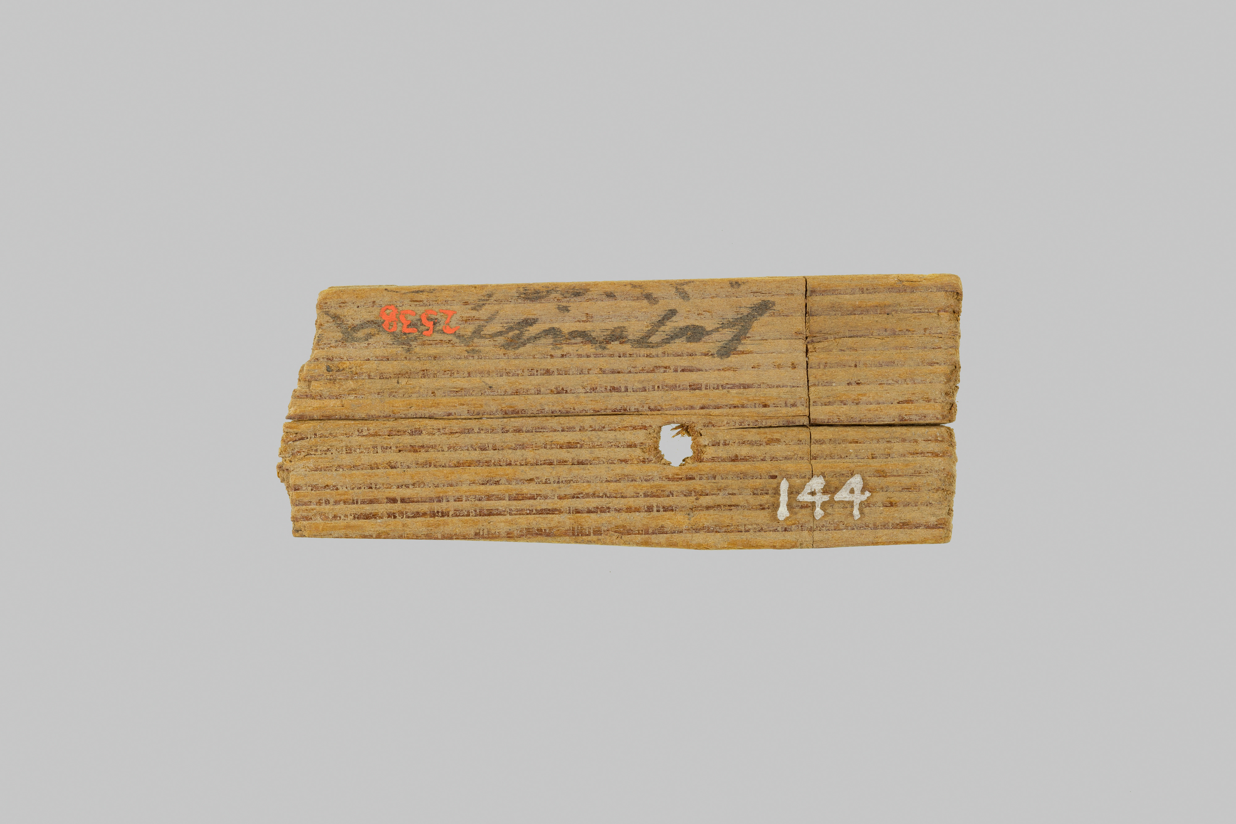 Fragment of a mummy label