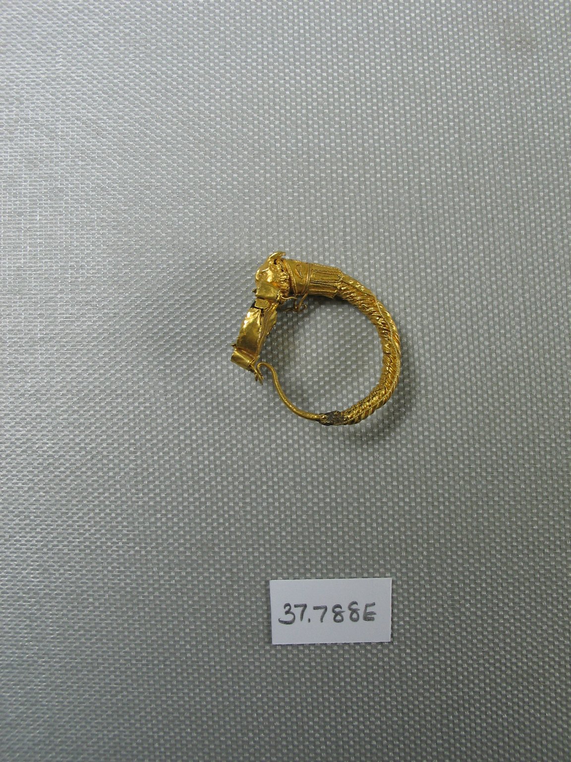 Large Earring with Lynx Head