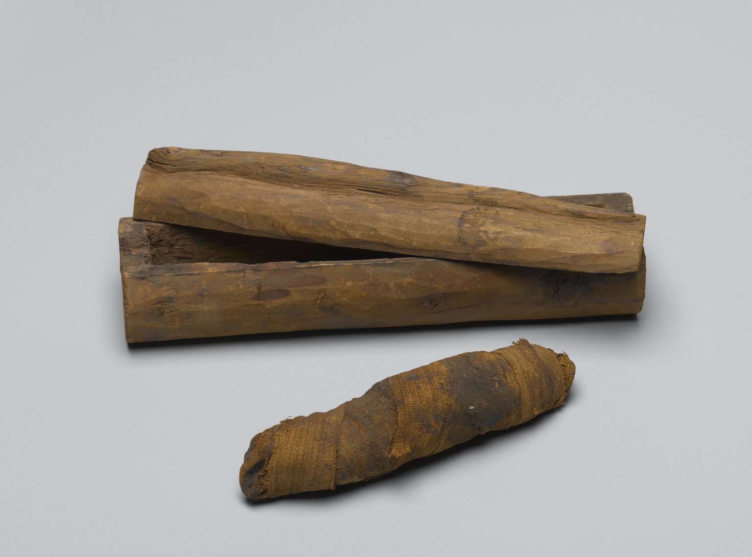 Snake Coffin with Mummy
