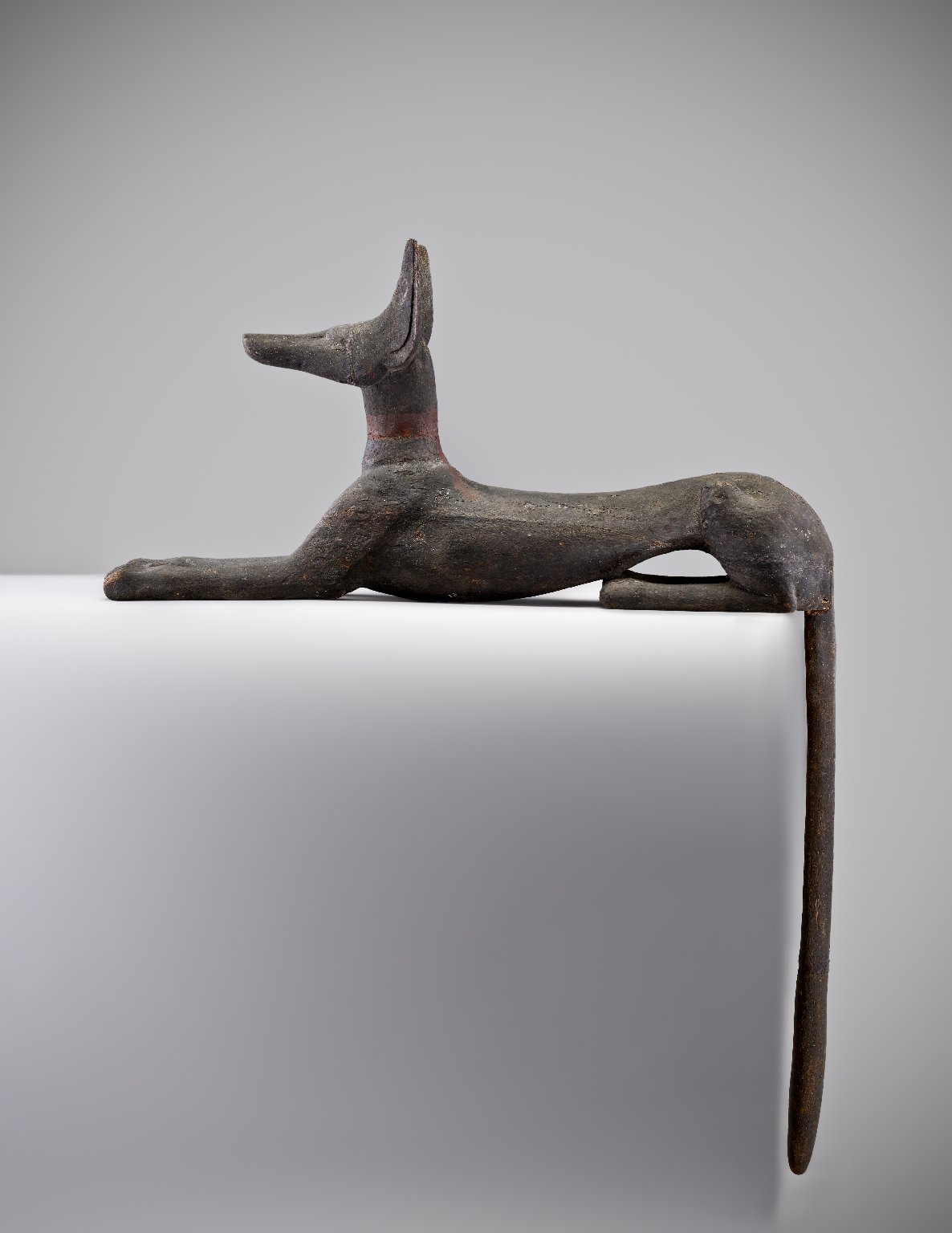 Anubis