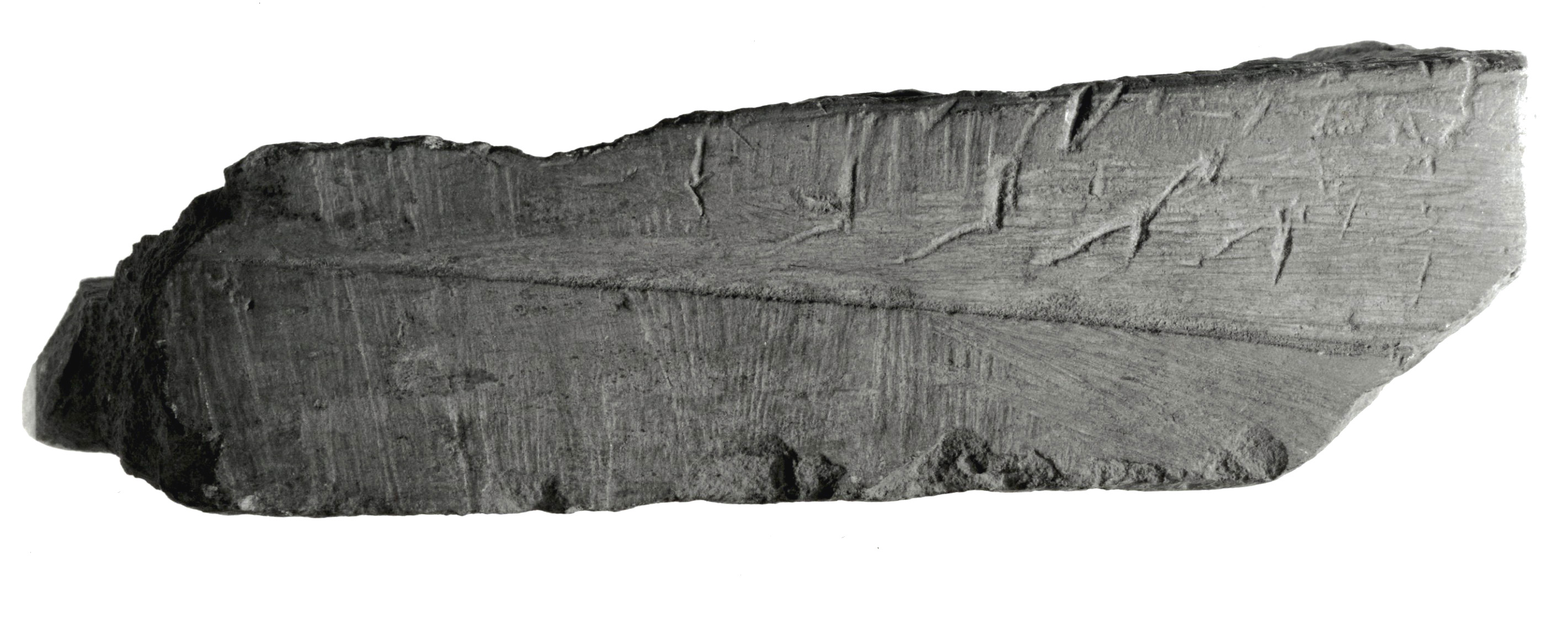 Raised relief fragment