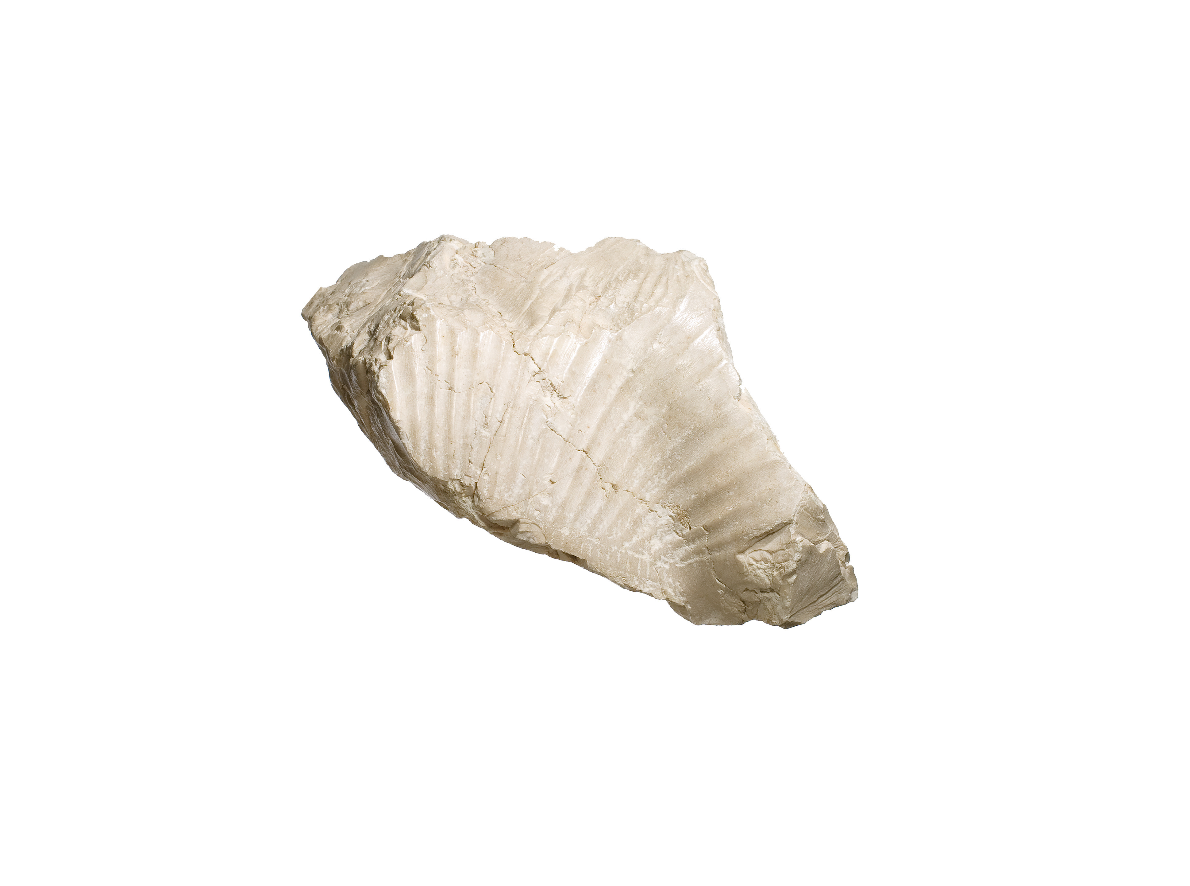 Nefertiti breast and shoulder fragment, cartouche [of Aten]