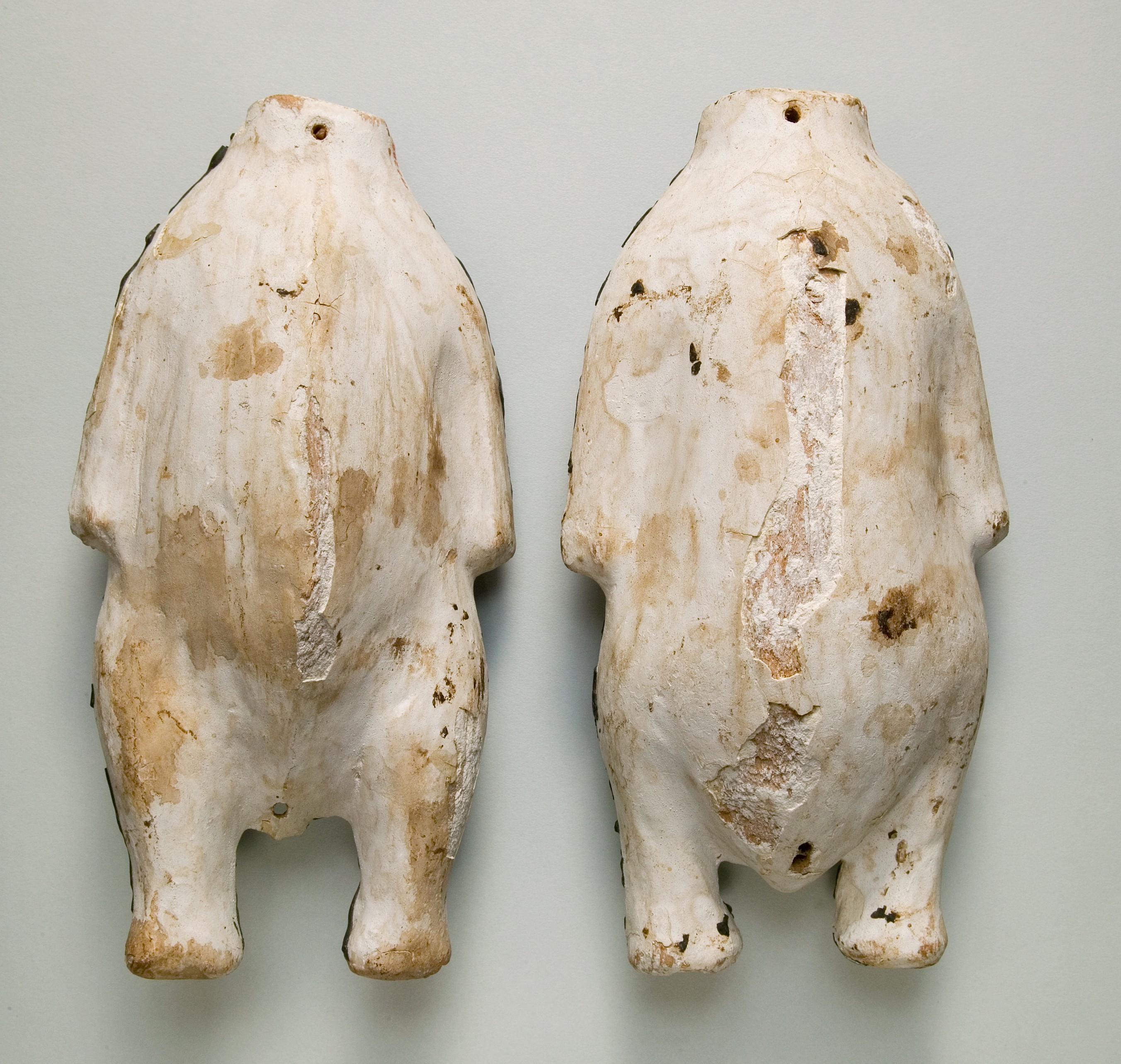 Food Case Probably Containing a Preserved Pigeon
