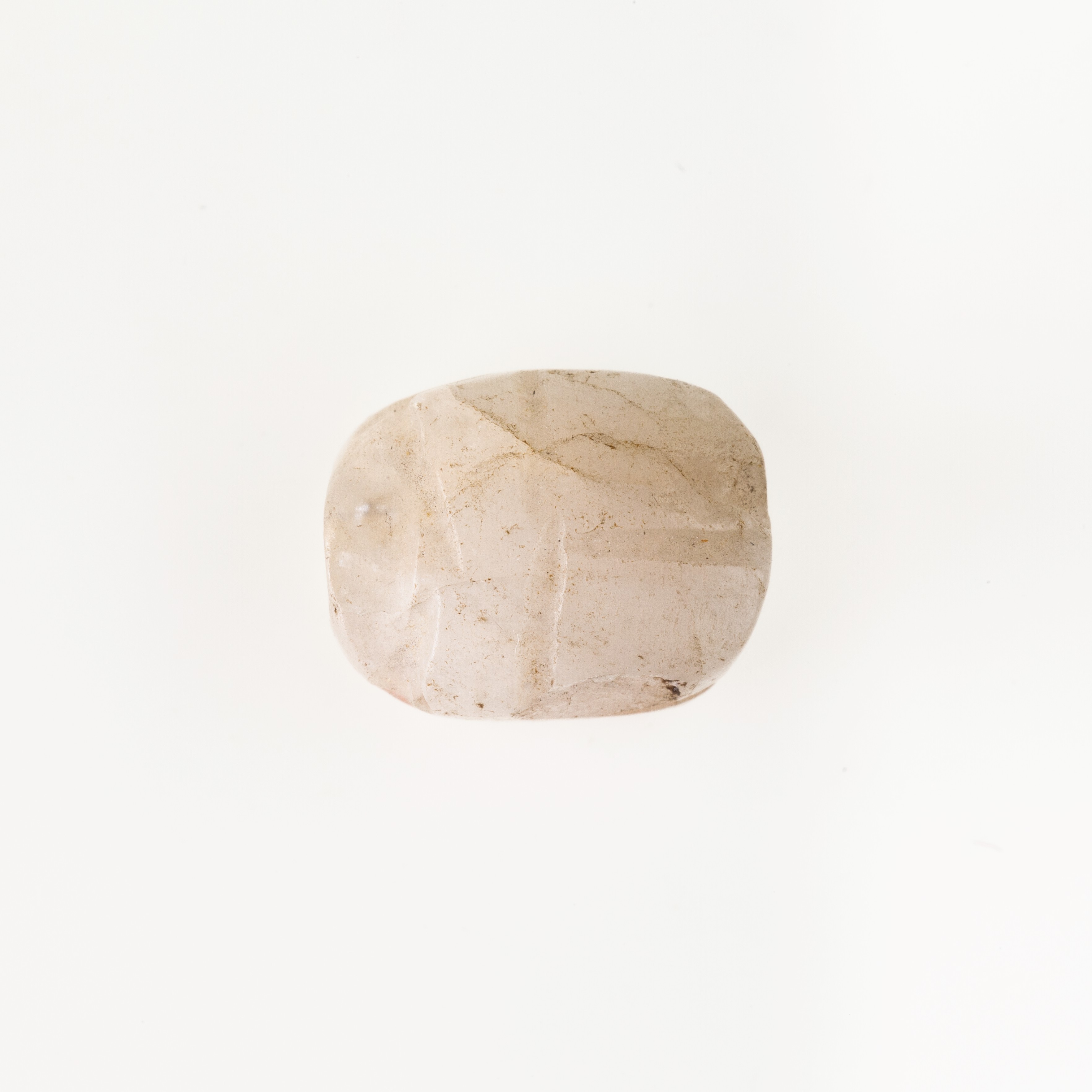 Scarab