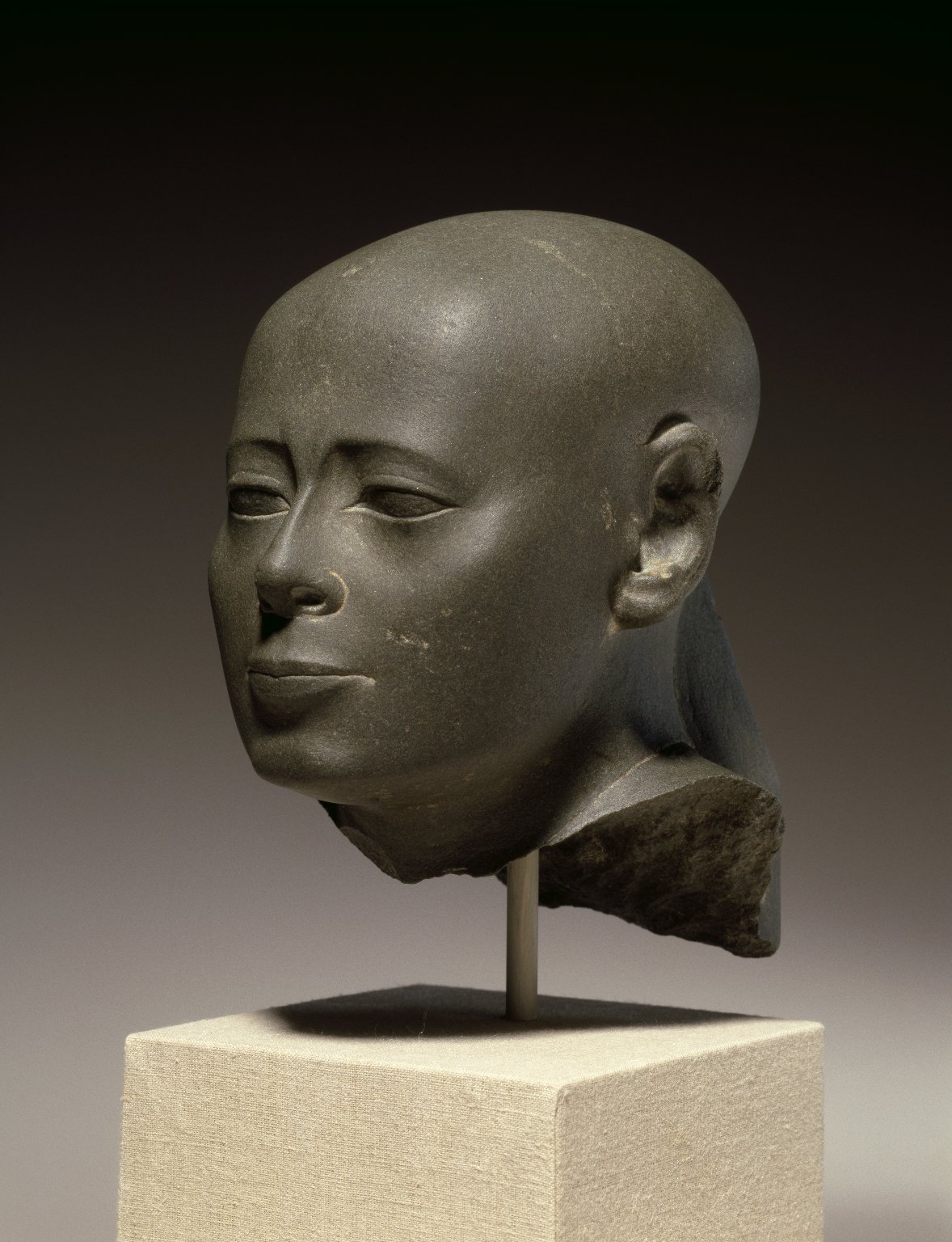Head of Wesirwer, Priest of Montu