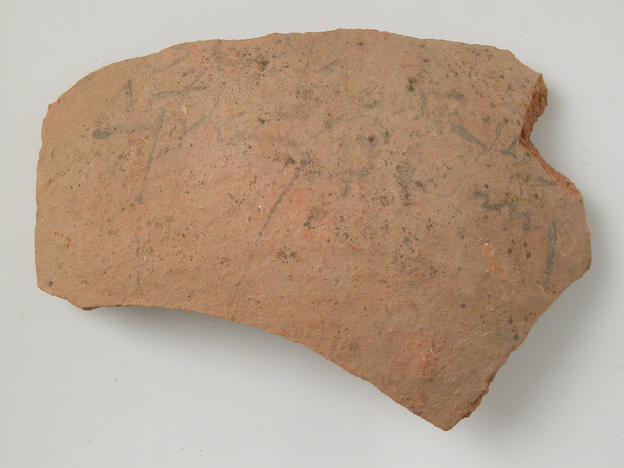Ostracon