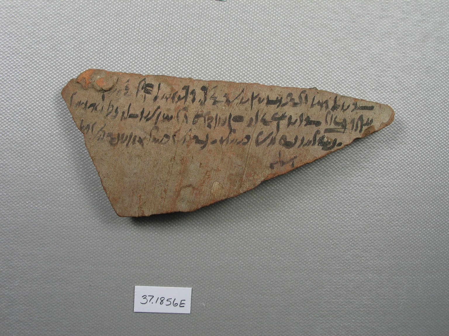 Ostracon