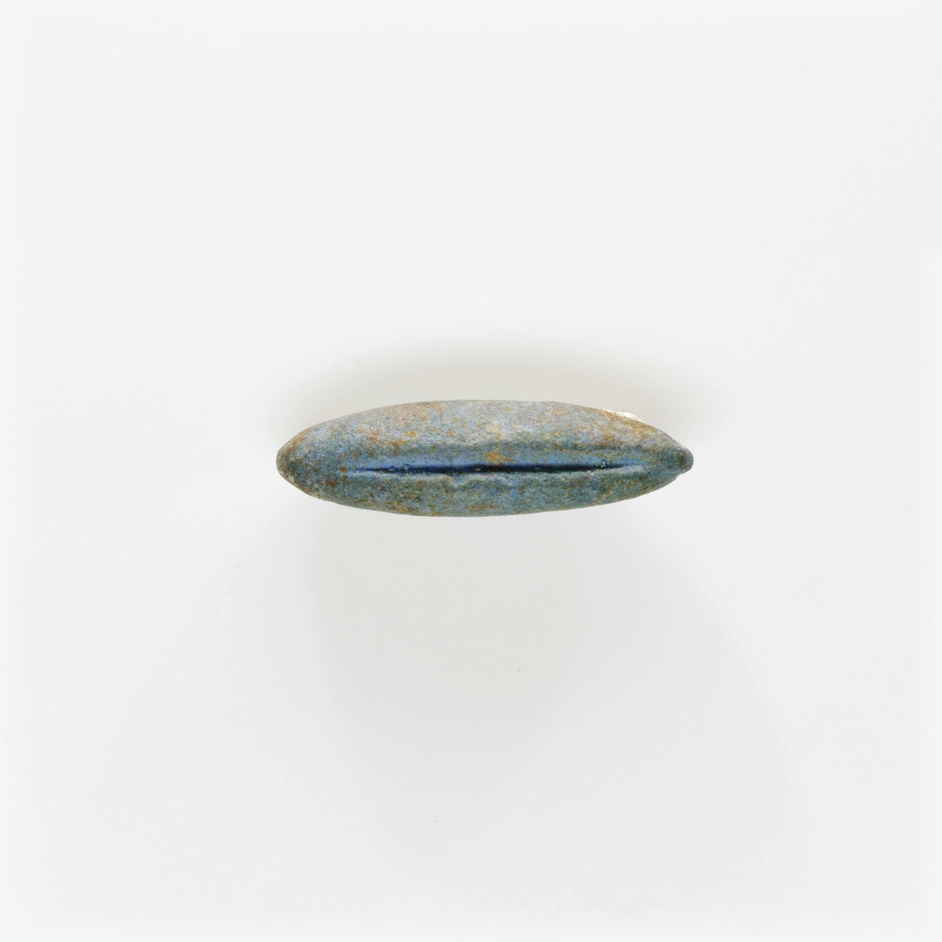 Bead in the Form of a Date (?)