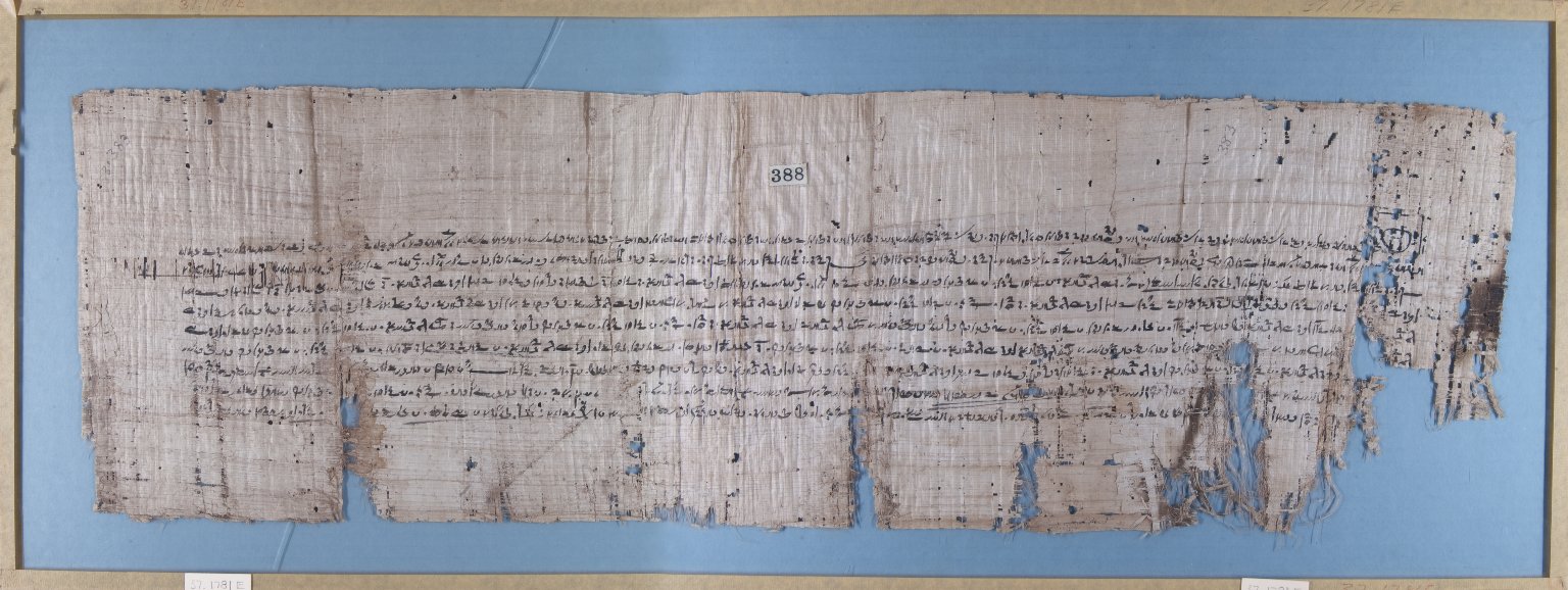 Papyrus Inscribed in Demotic