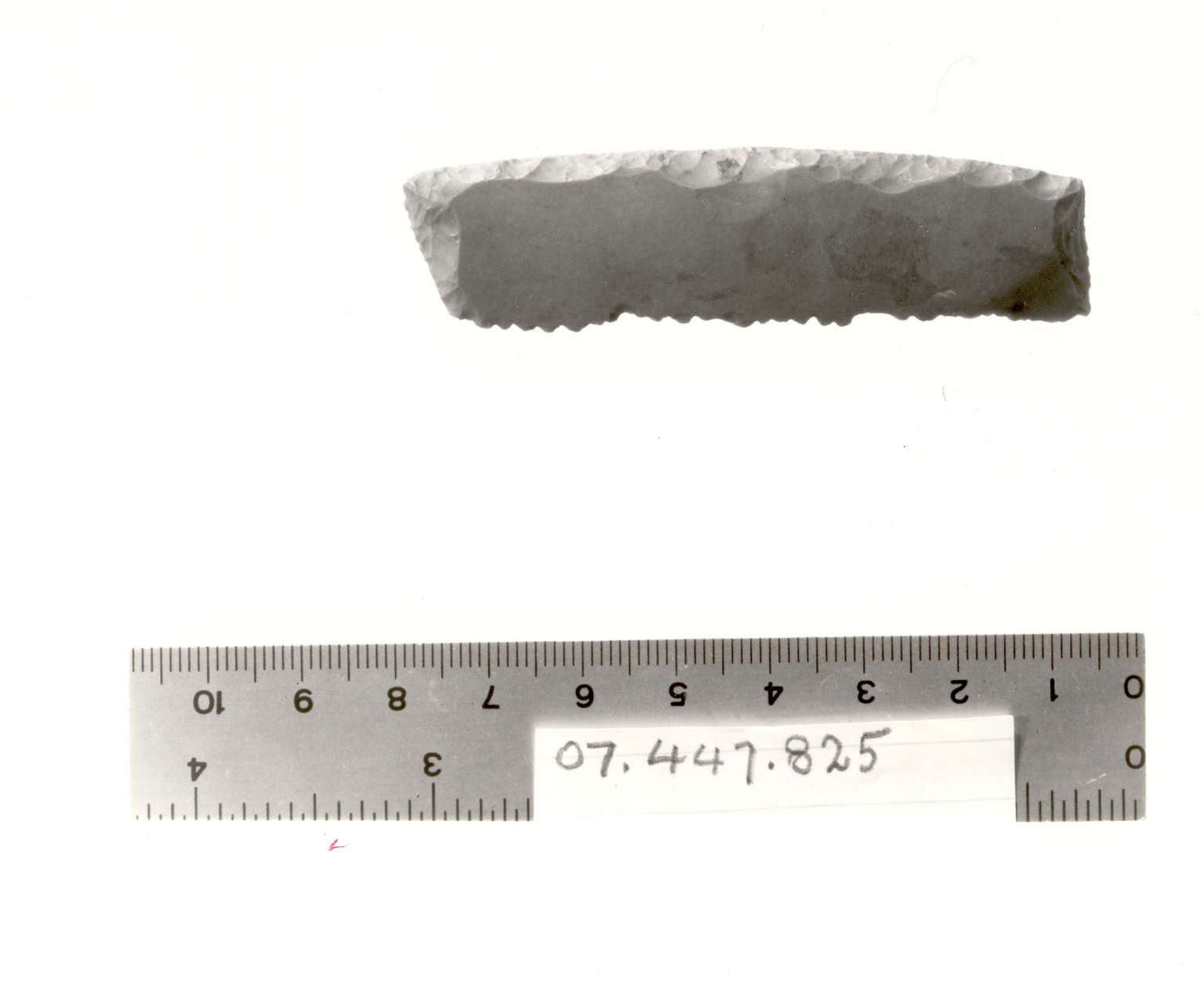 Sickle Blade