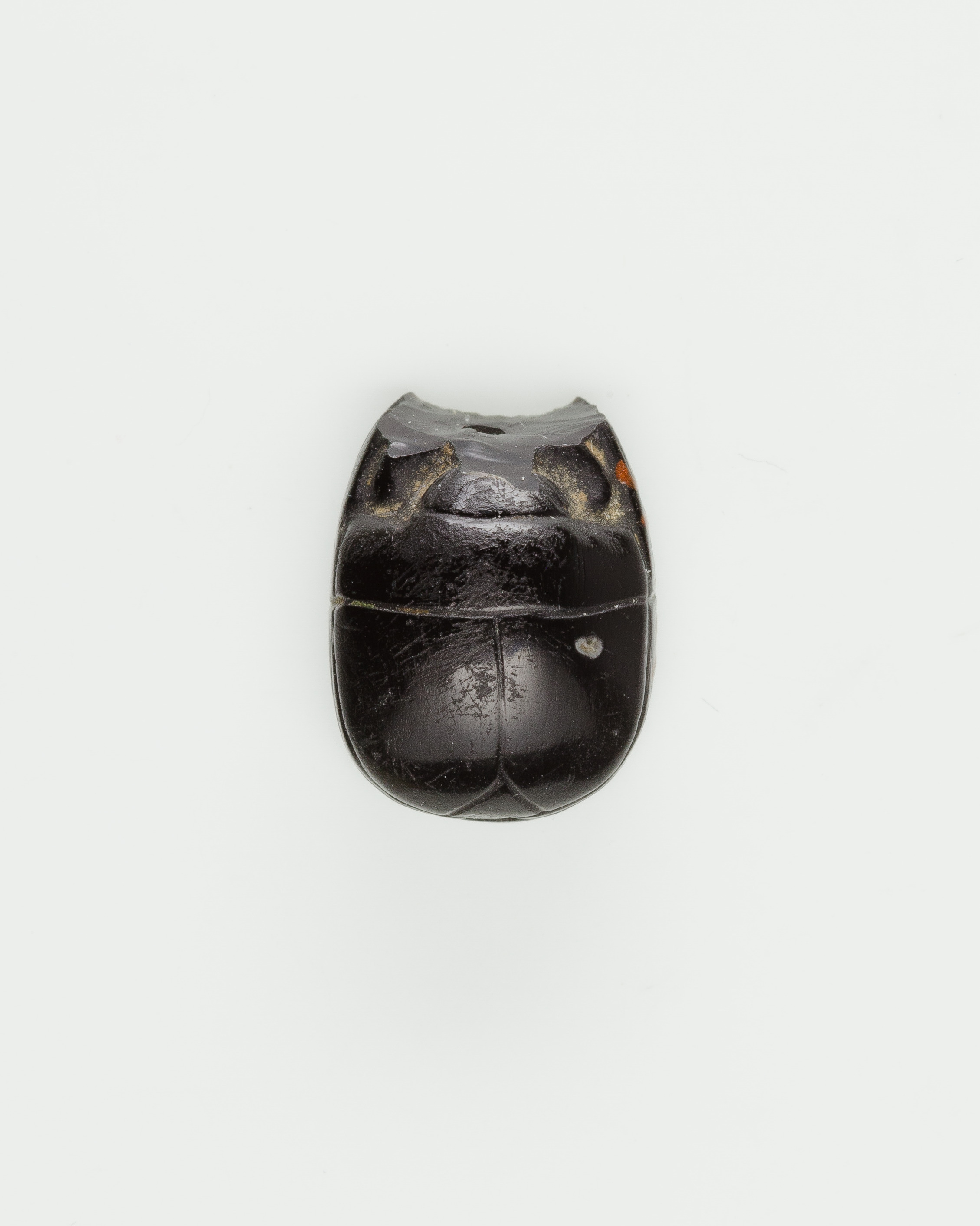 Scarab