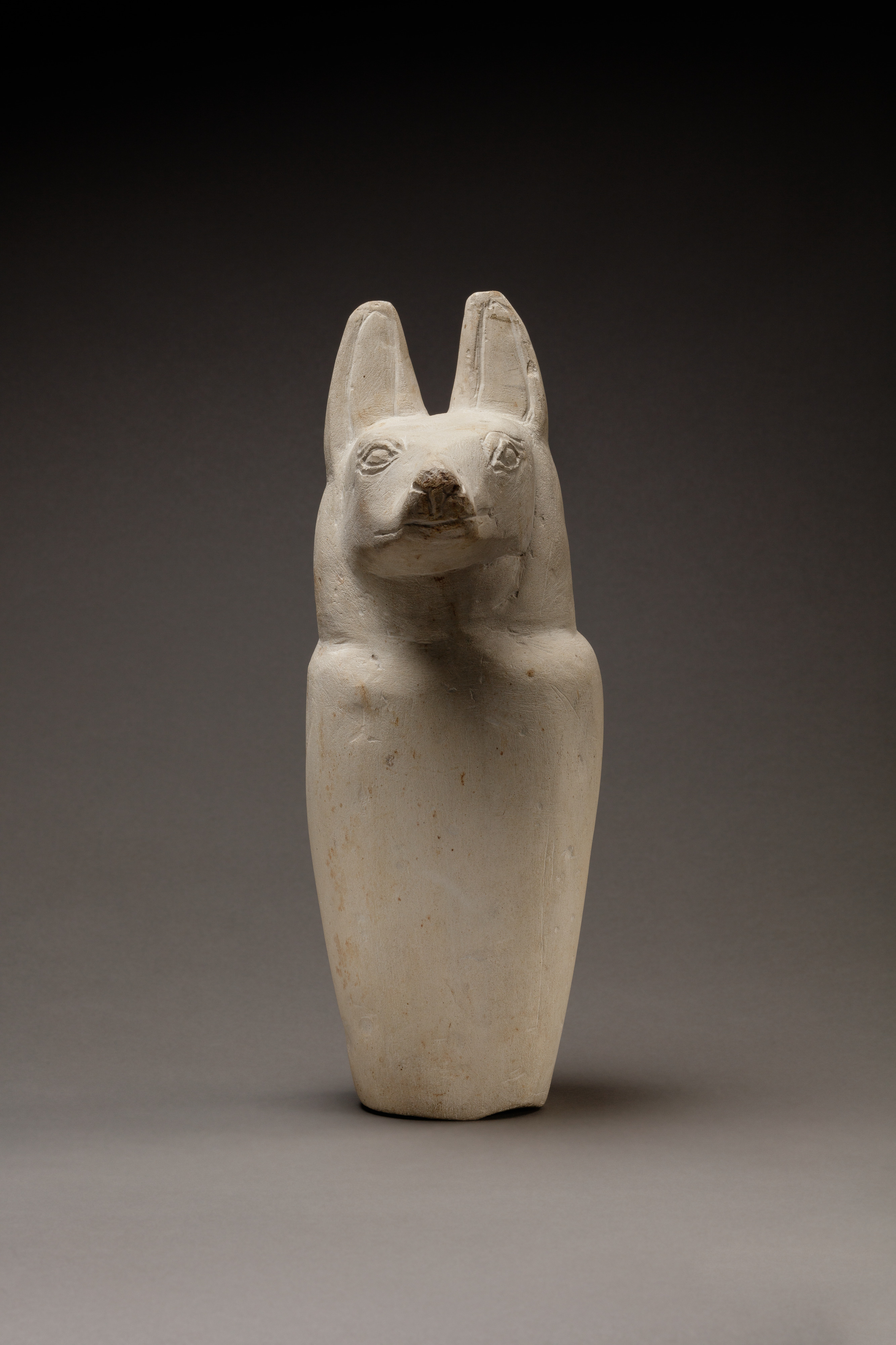 Dummy canopic jar with jackal head