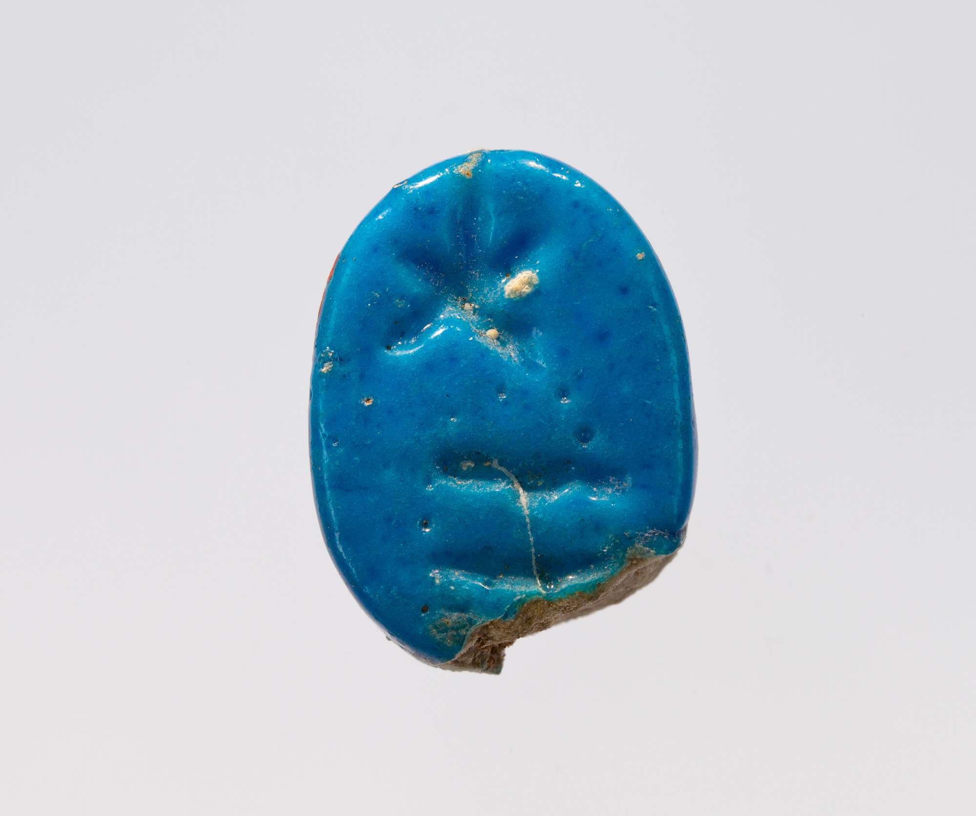 Scarab