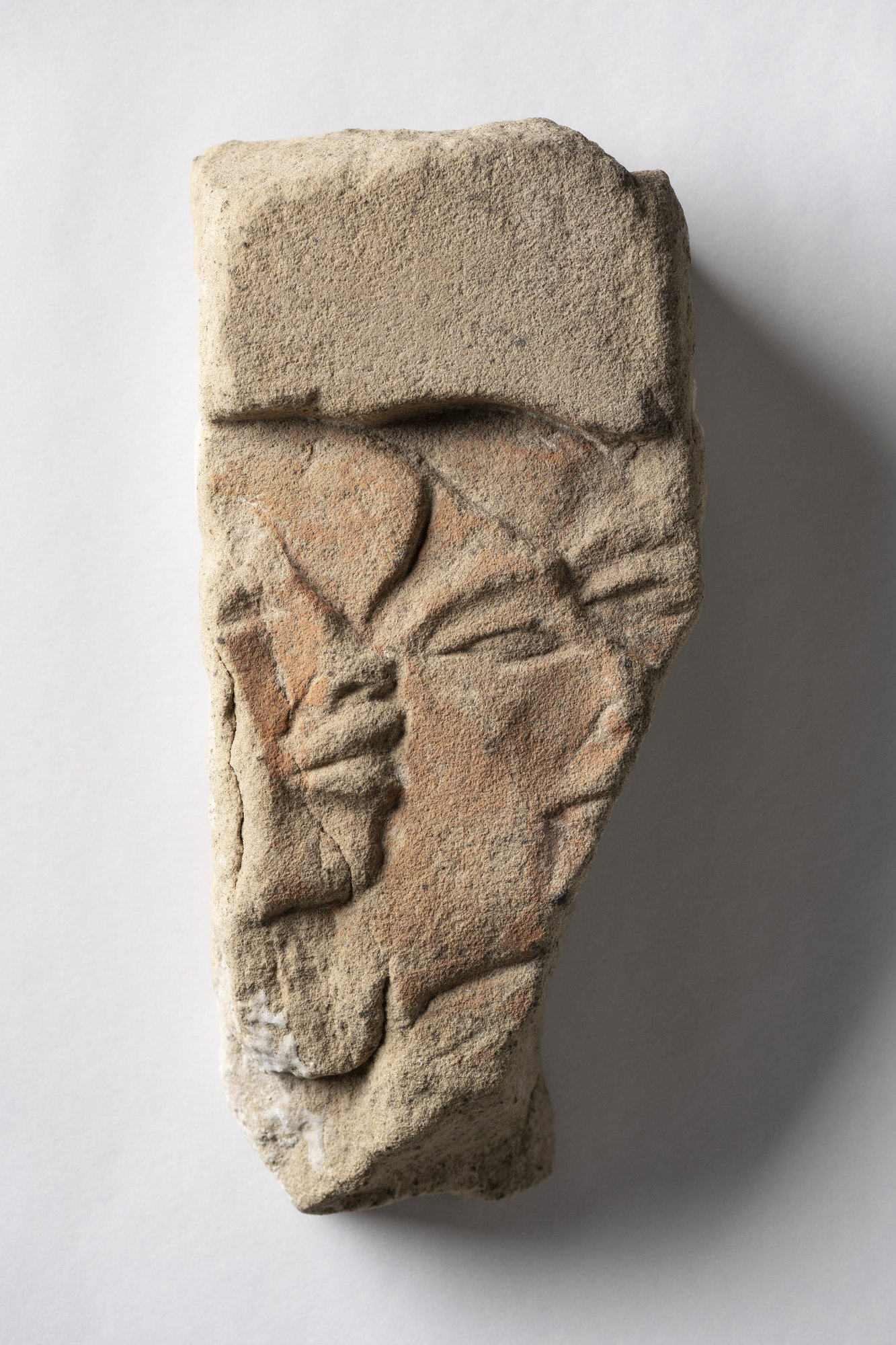 Fragment of Relief