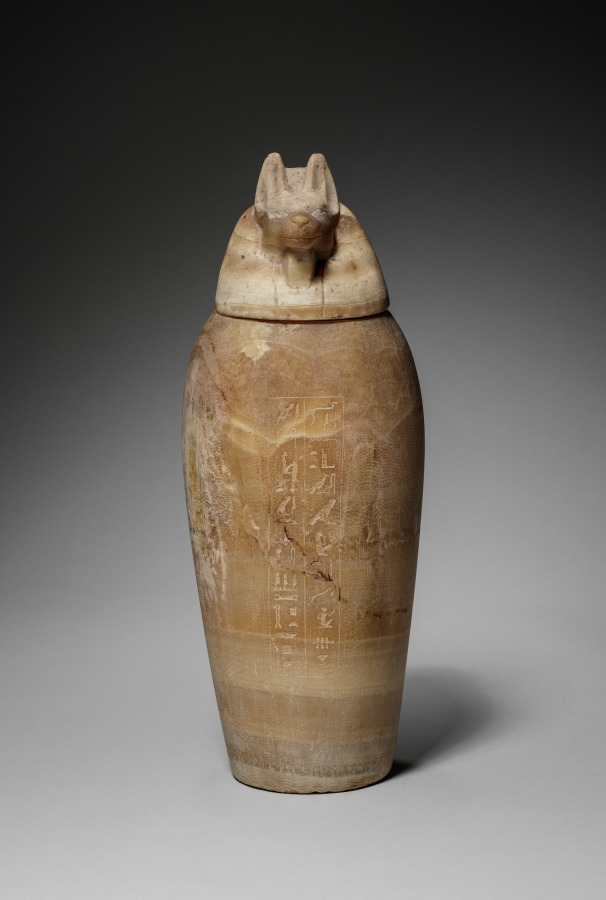 Canopic Jar with Jackal's Head