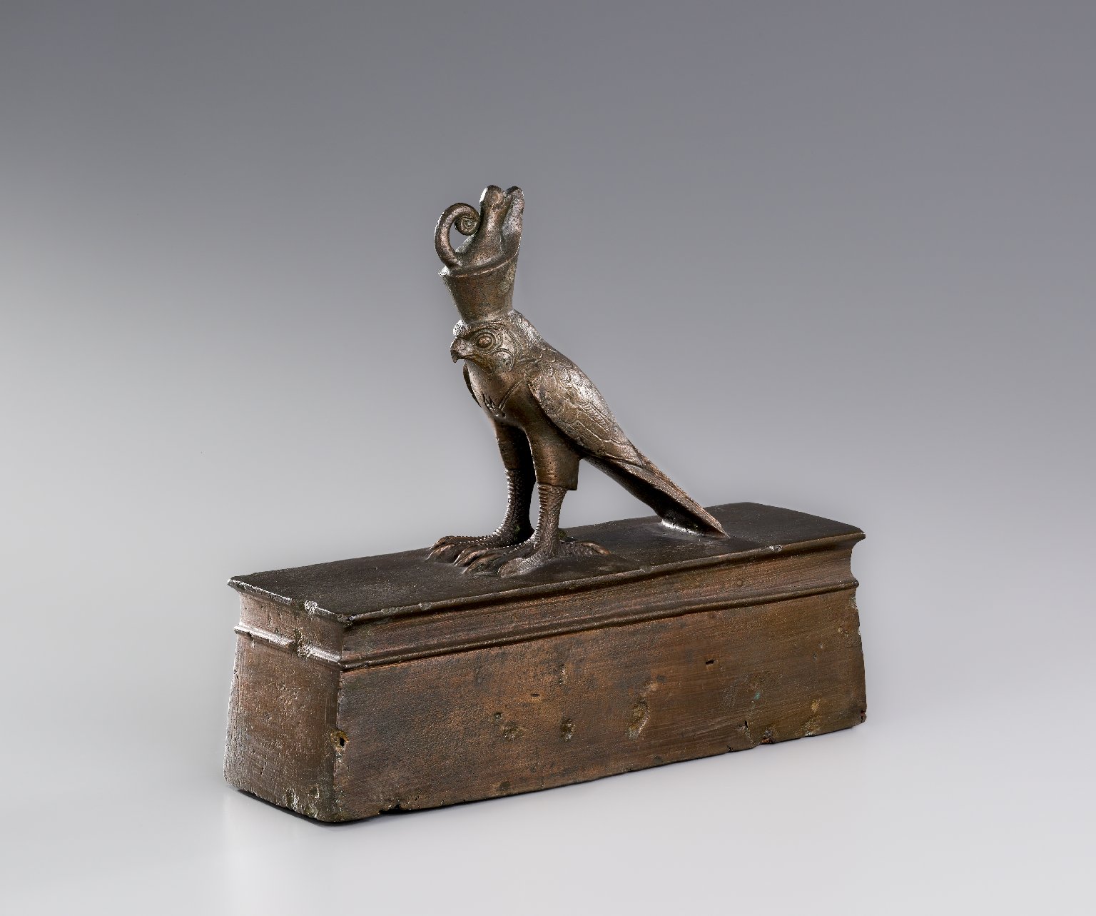 Falcon Coffin