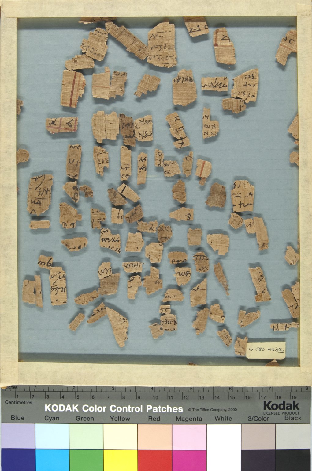 Papyrus Fragments Inscribed in Greek or Demotic