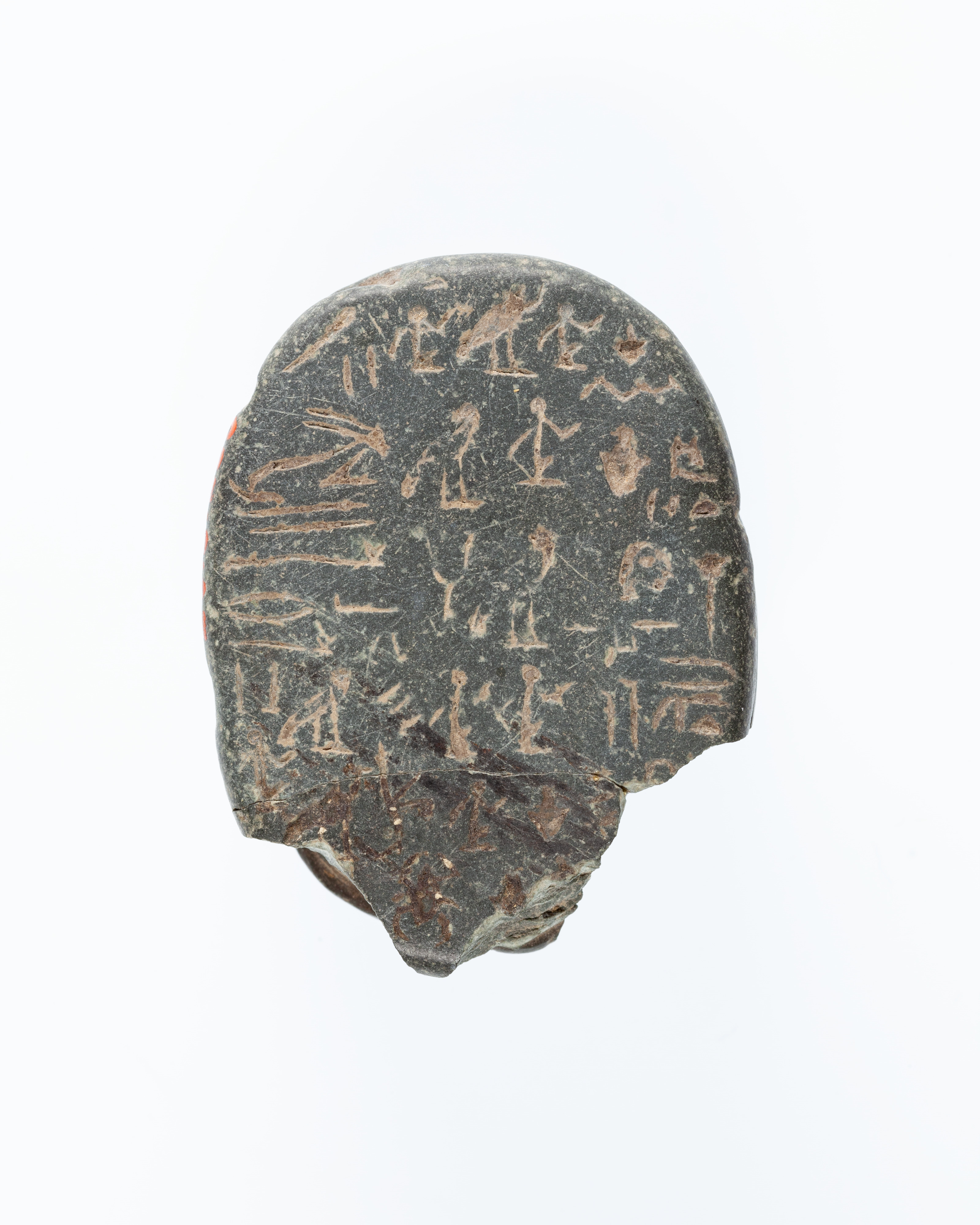Heart Scarab