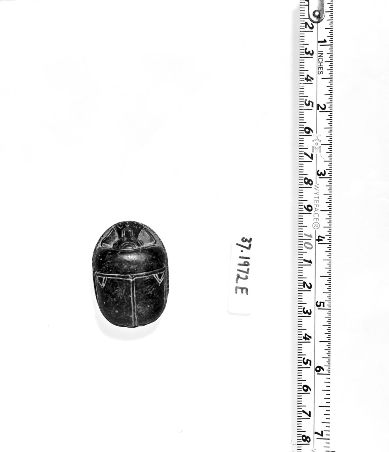 Heart Scarab