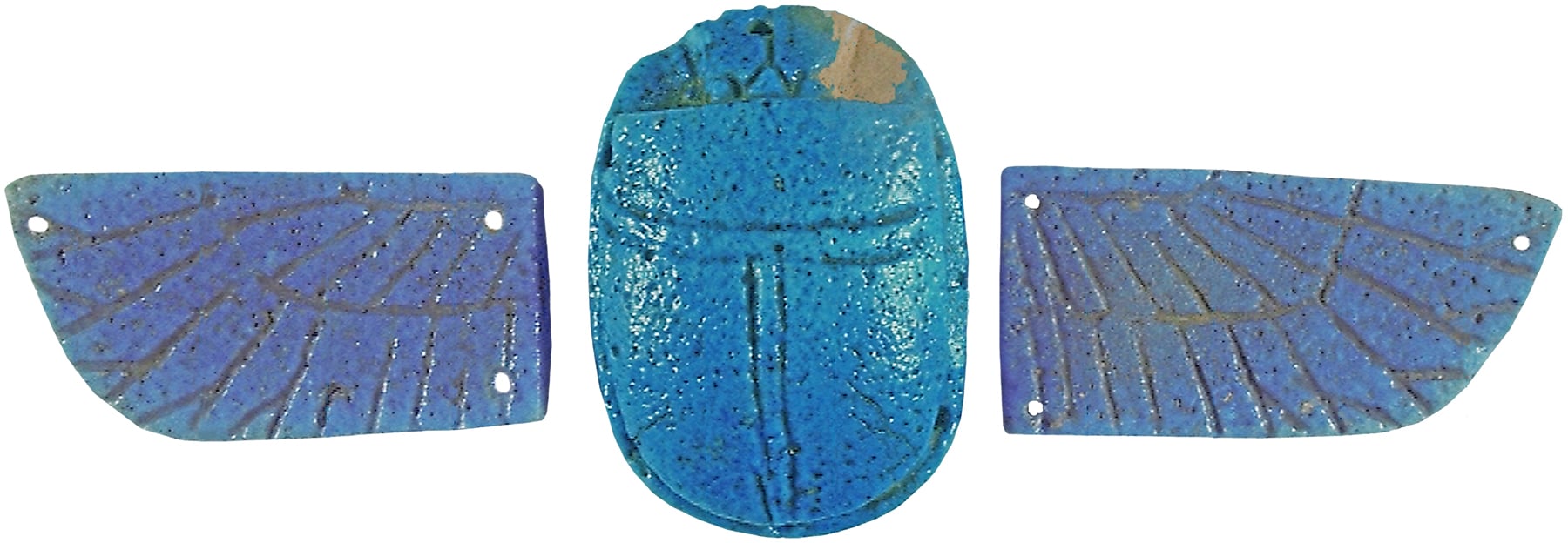 Scarab with Spread Wings