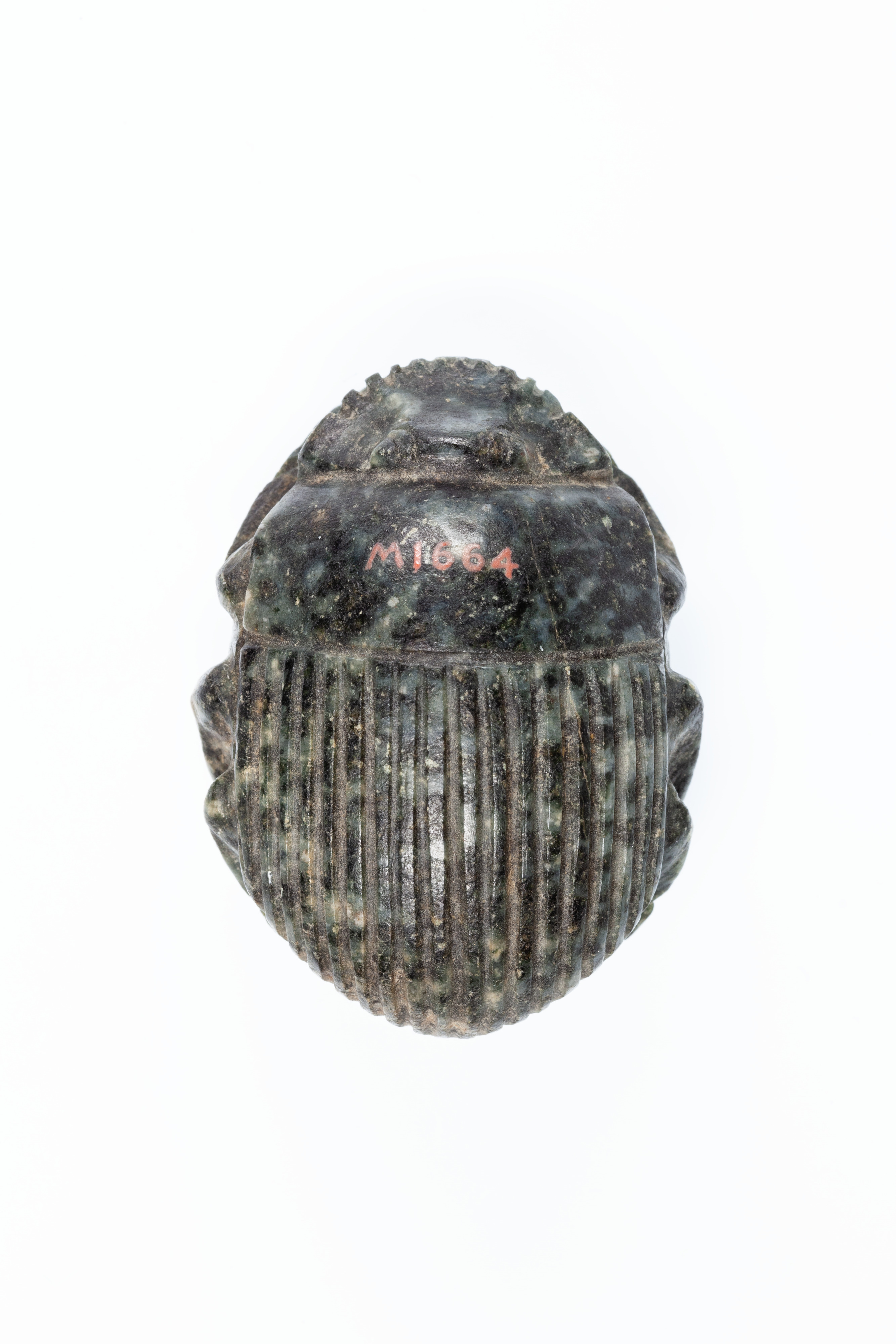 Uninscribed Heart Scarab