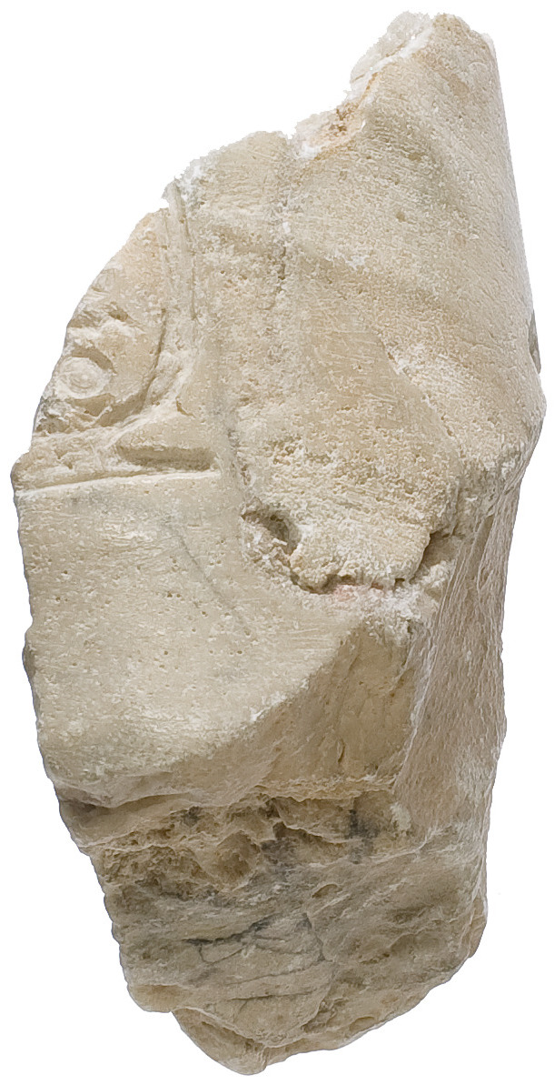 Arm, with garment, Aten cartouche