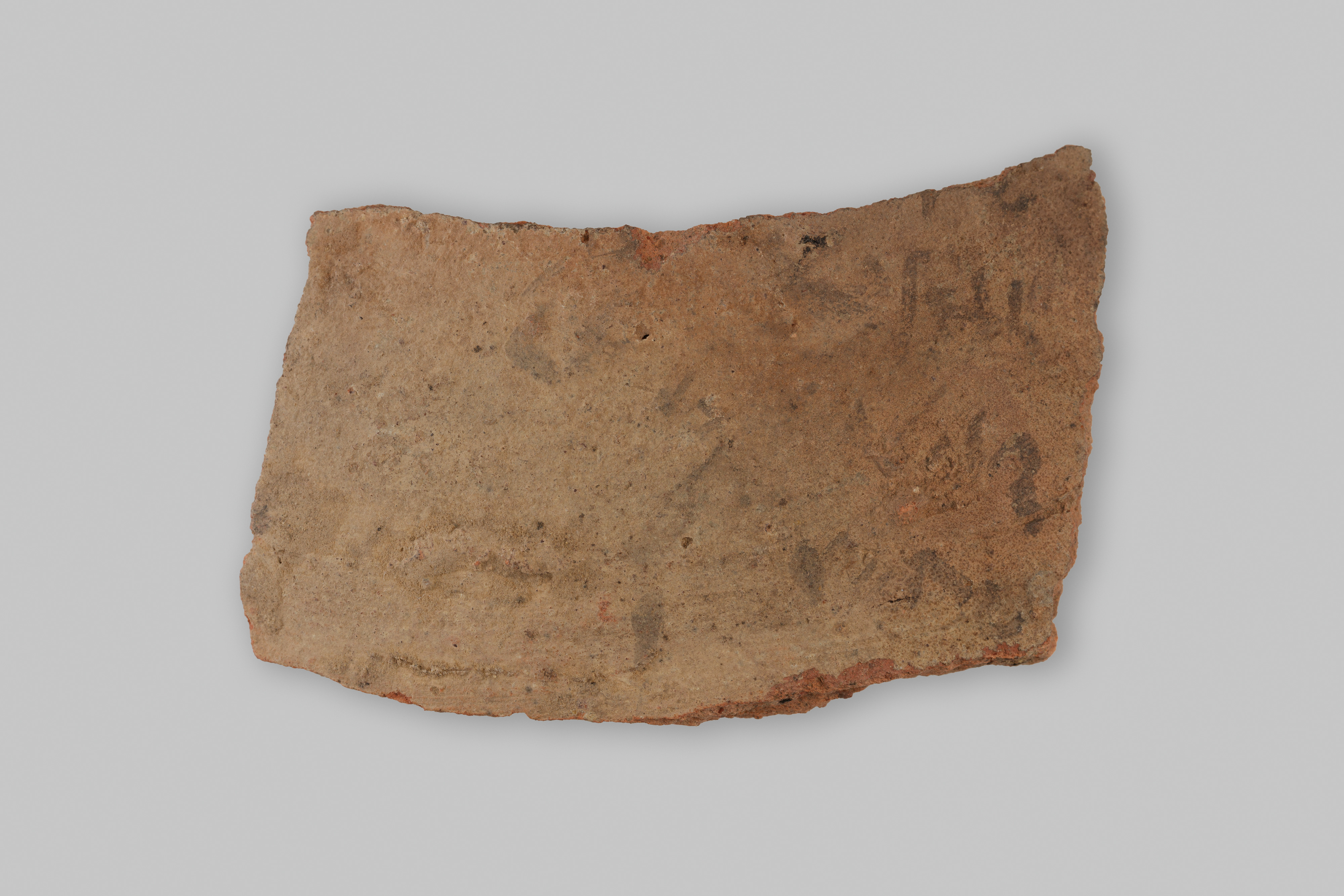 Ostracon
