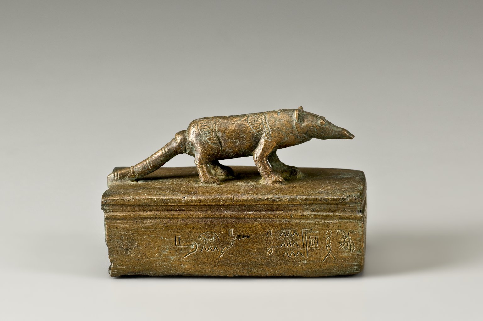 Shrew Coffin of Pahapy
