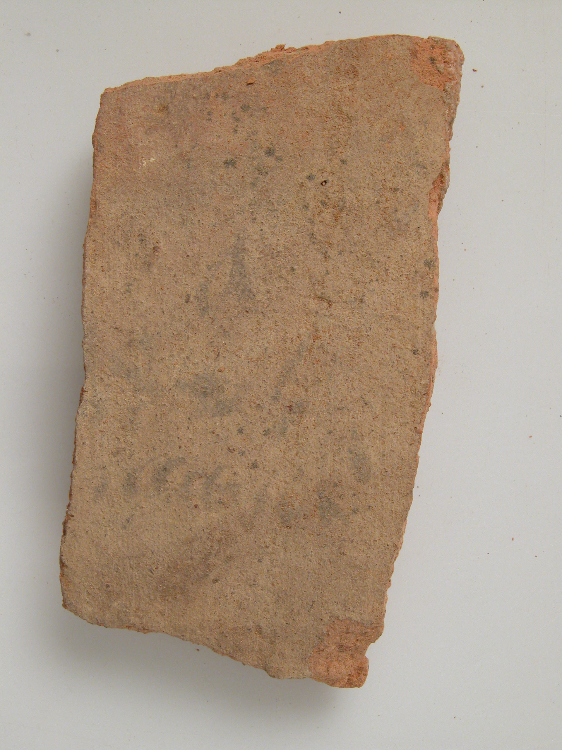 Ostracon